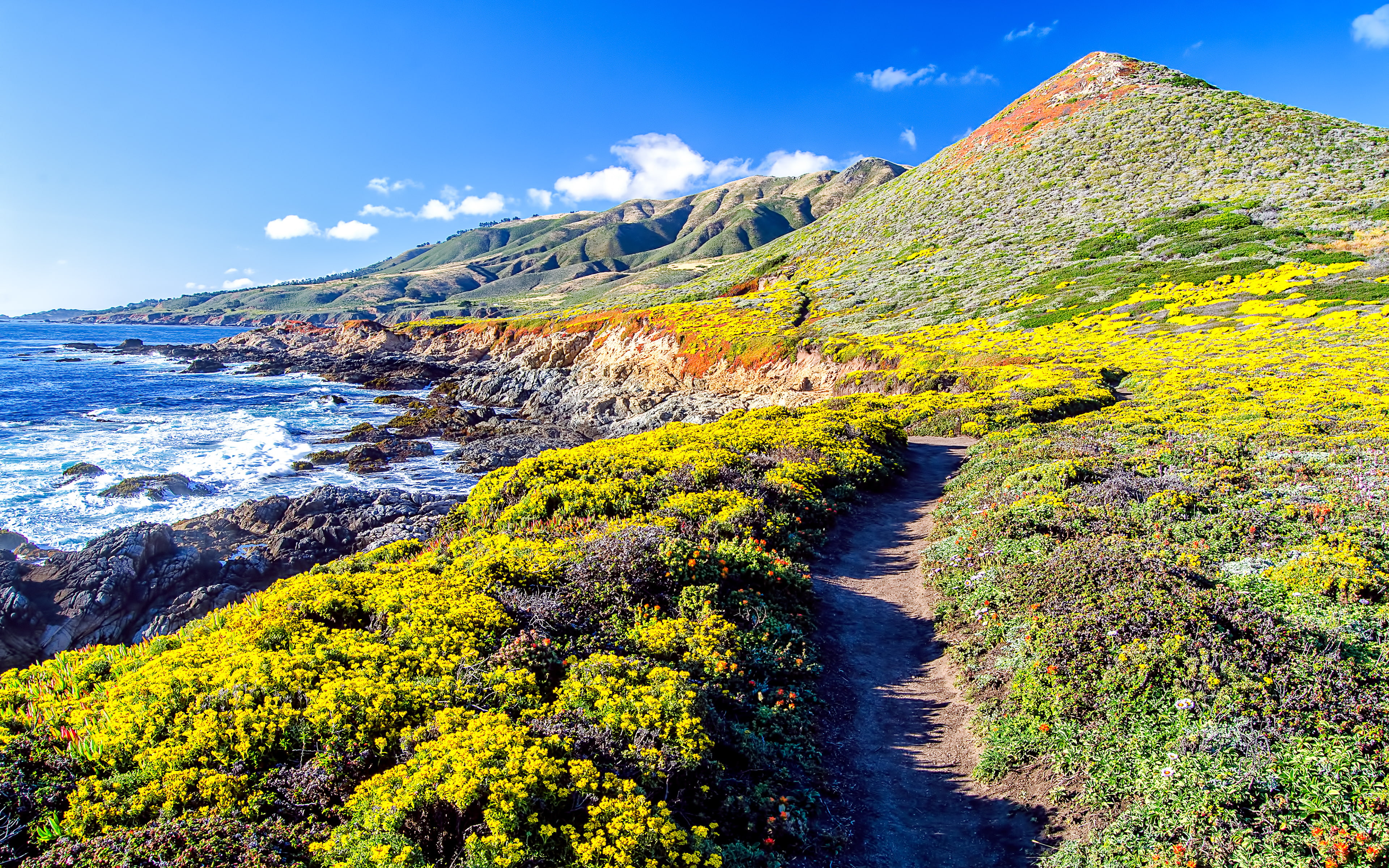 Big Sur, California, 4K, 4K, Seascape, Mountains, Pacific Coast Highway, Landscape, HD Wallpaper