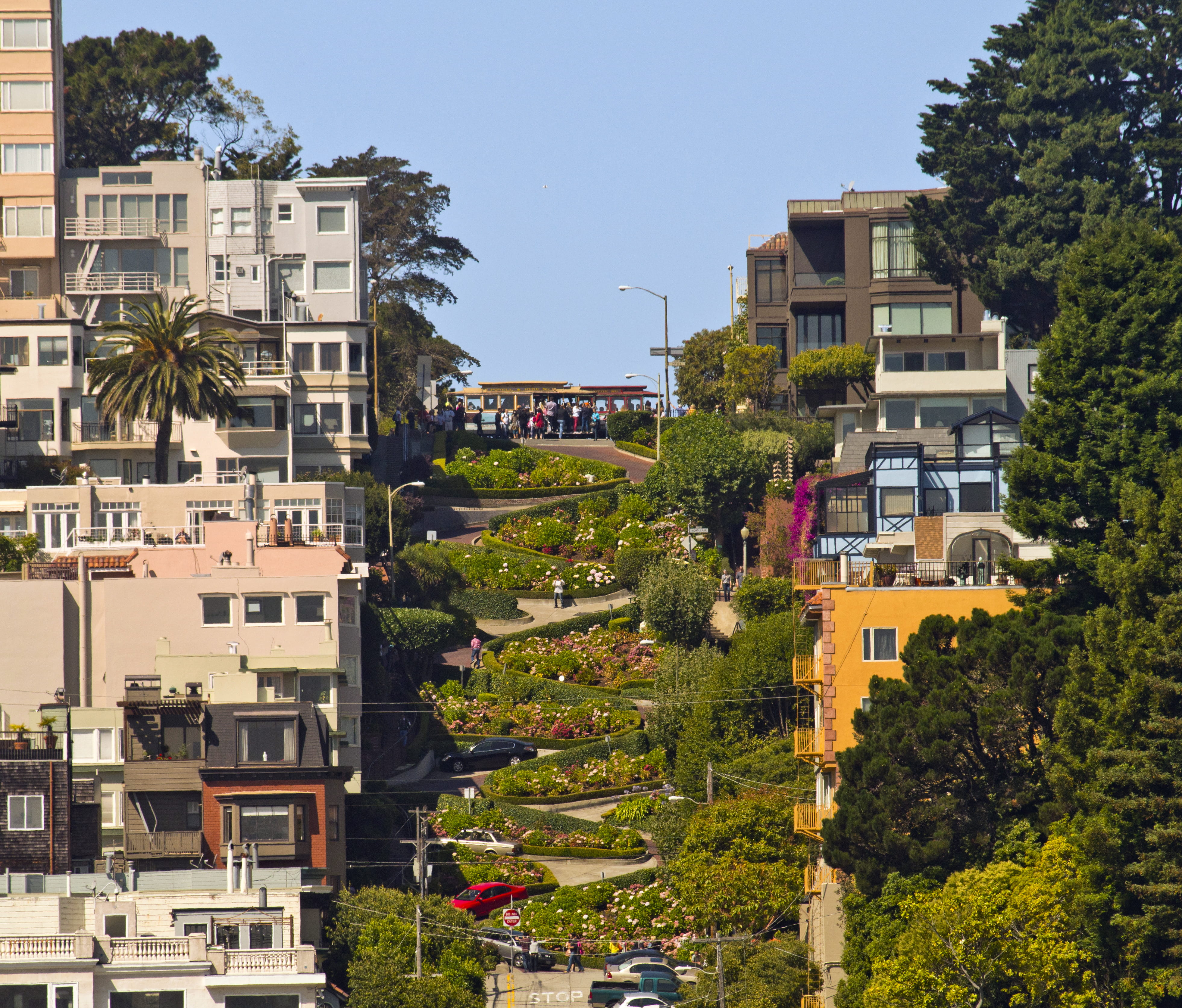 san, built Structure, cityscape, plant, nature, francisco, apartment, urban, sunlight, architecture, houses, motor vehicle, urban Scene, sky, San Francisco, HD Wallpaper