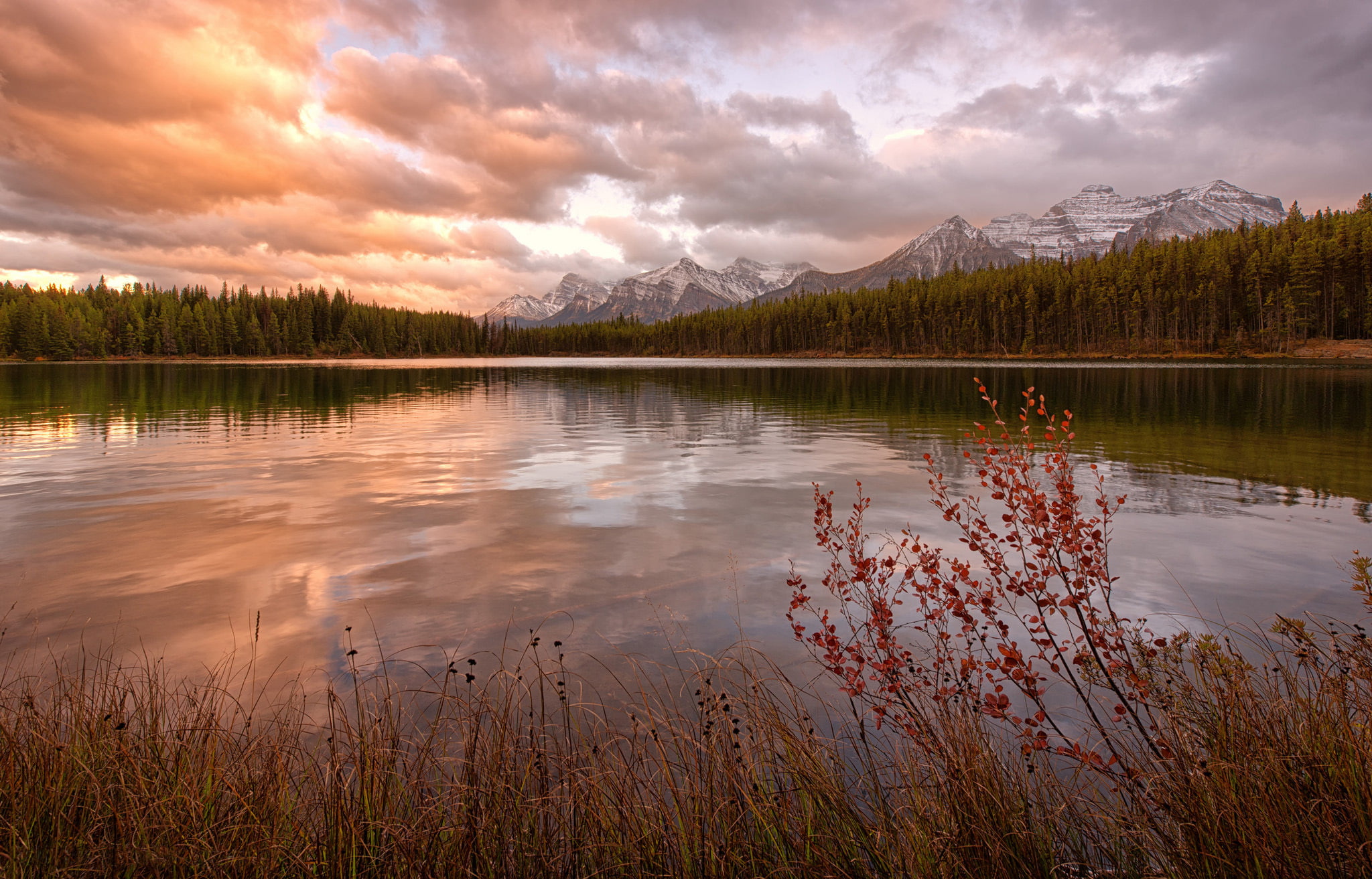 1080P, glacial lake, Herbert, mountains, grass. Bush, forest, Canada, HD Wallpaper