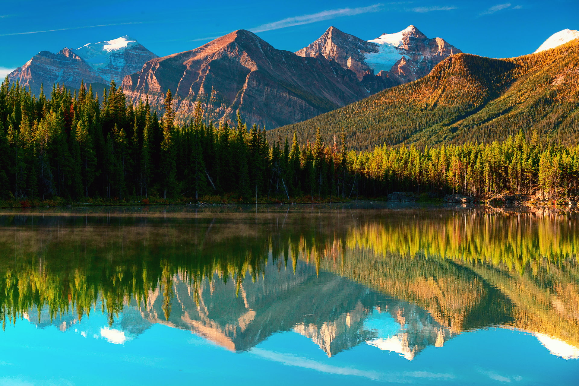 tree, beauty In Nature, national Landmark, canadian Rockies, outdoors, mountains, summer, forest, water, wilderness Area, sky, lake, autumn, vacations, HD Wallpaper