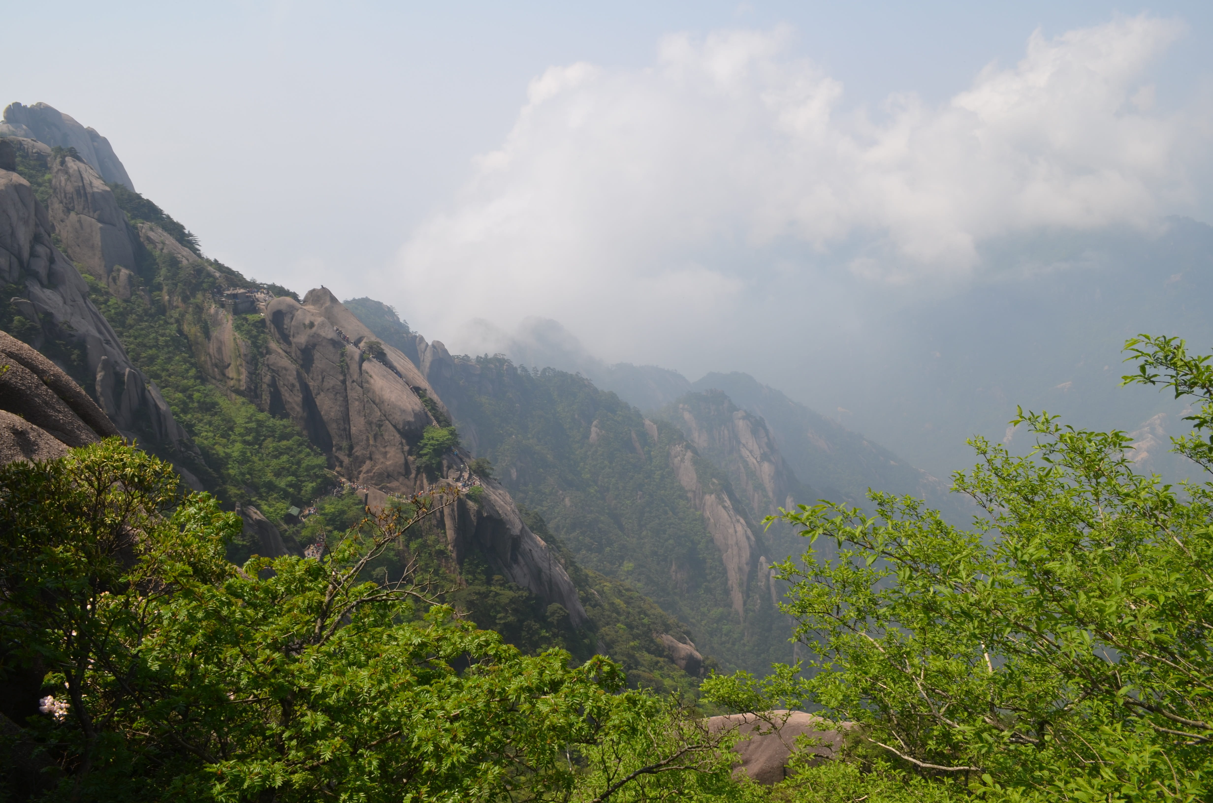 land, mountain peak, mountain range, no people, tree, landscape, sky, beauty in nature, environment, day, Natural, non-urban scene, formation, Views, 4K, HD Wallpaper