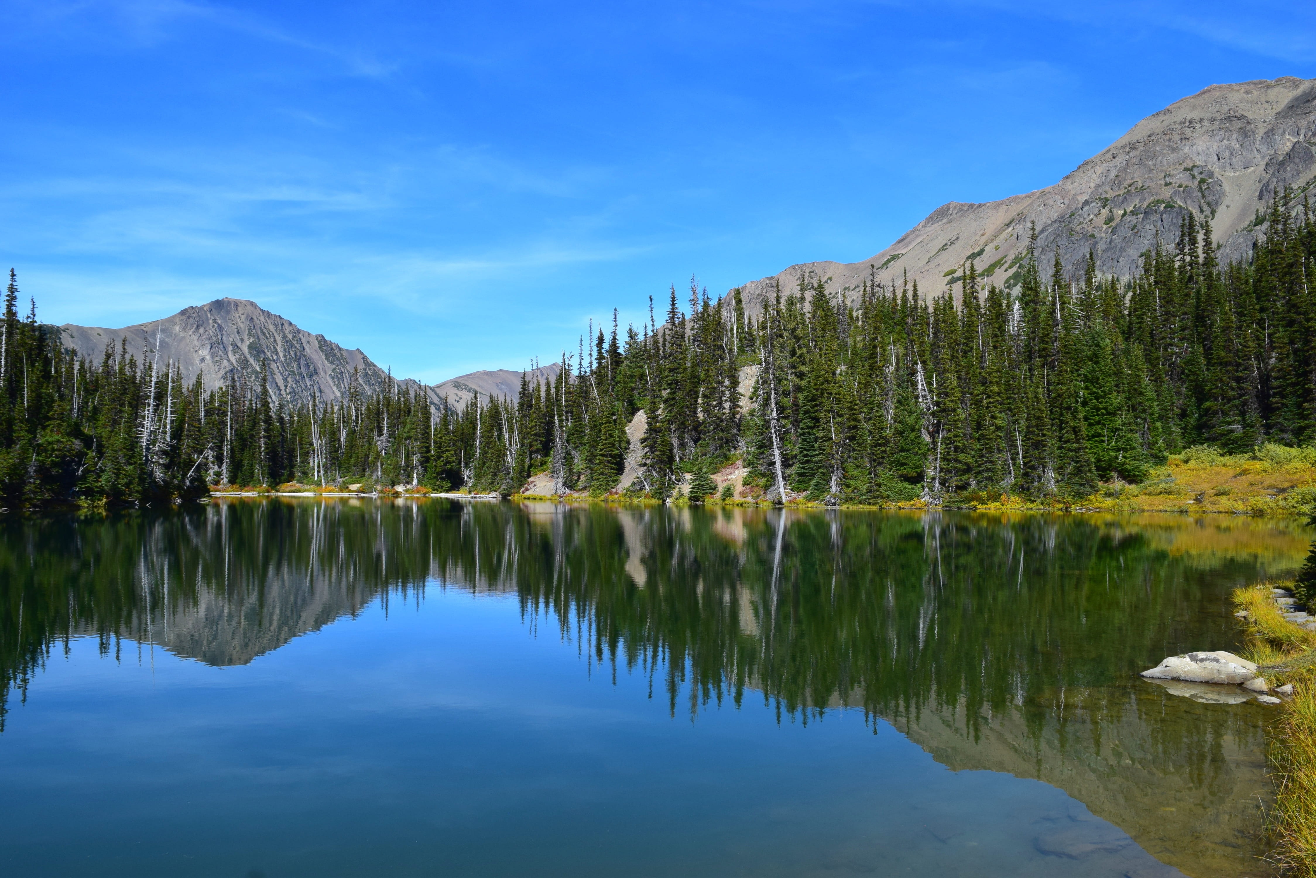no people, waterfront, trees, idyllic, beauty in nature, autumn, growth, reflection, pine trees, non-urban scene, scenics - nature, tranquility, scenic, HD Wallpaper