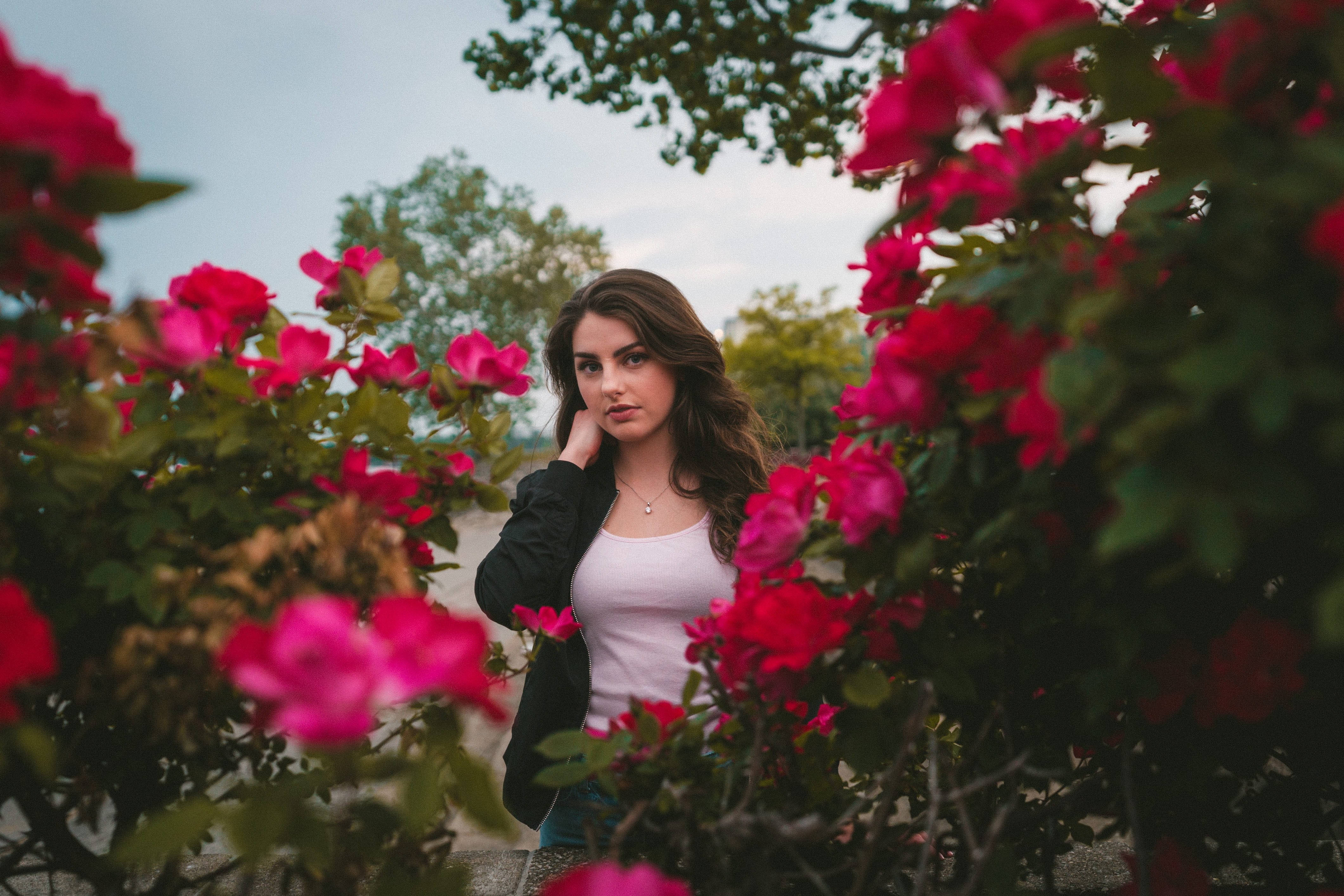 young women, people, beautiful woman, mount vernon, nature, long hair, adult, 4K, hairstyle, fragility, trees, pink, woman, plant, sony, standing, music, HD Wallpaper