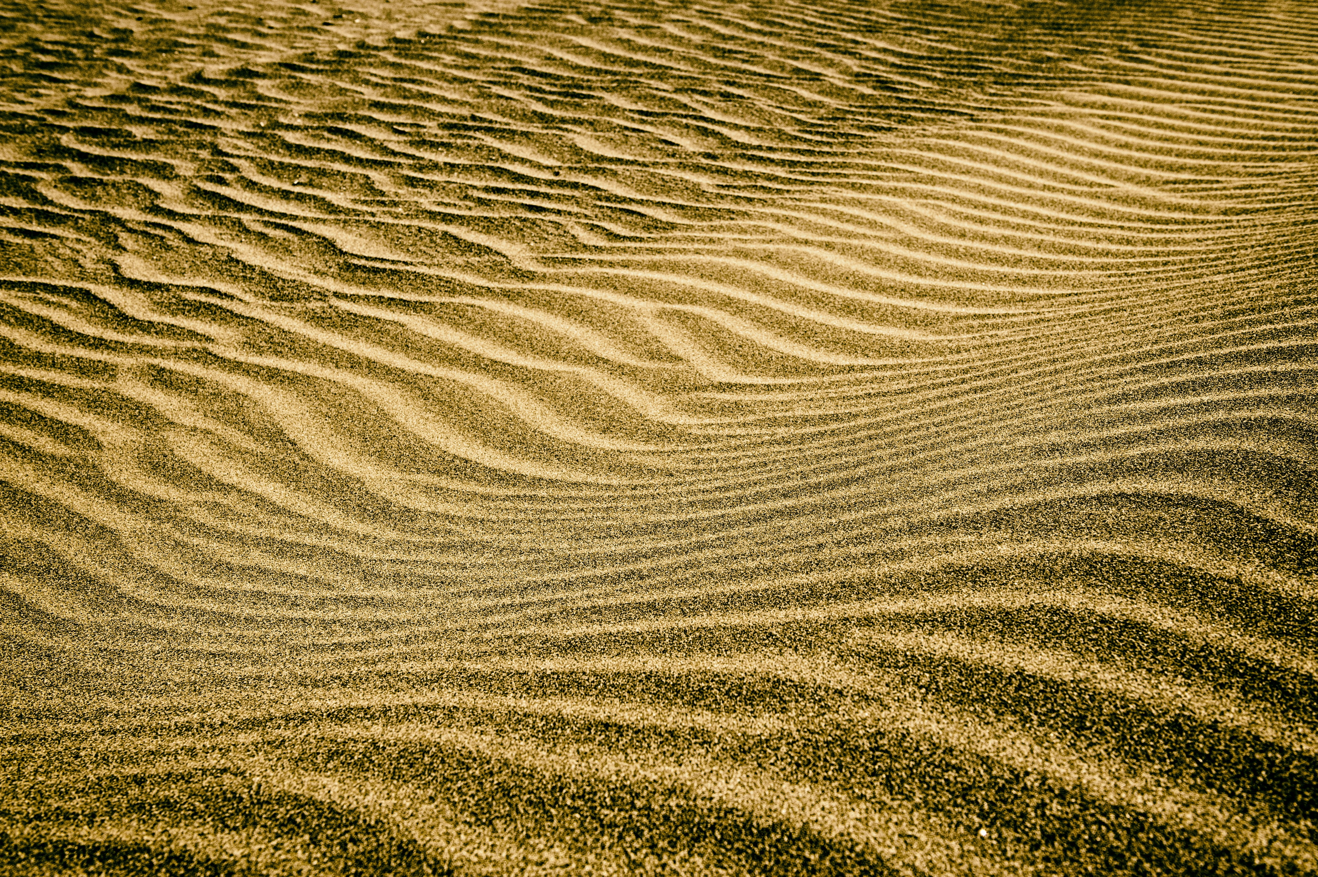 sunlight, gold, landscape, full frame, wave Pattern, outdoors, day, sand, no people, arid climate, textured, environment, backgrounds, desert, climate, HD Wallpaper