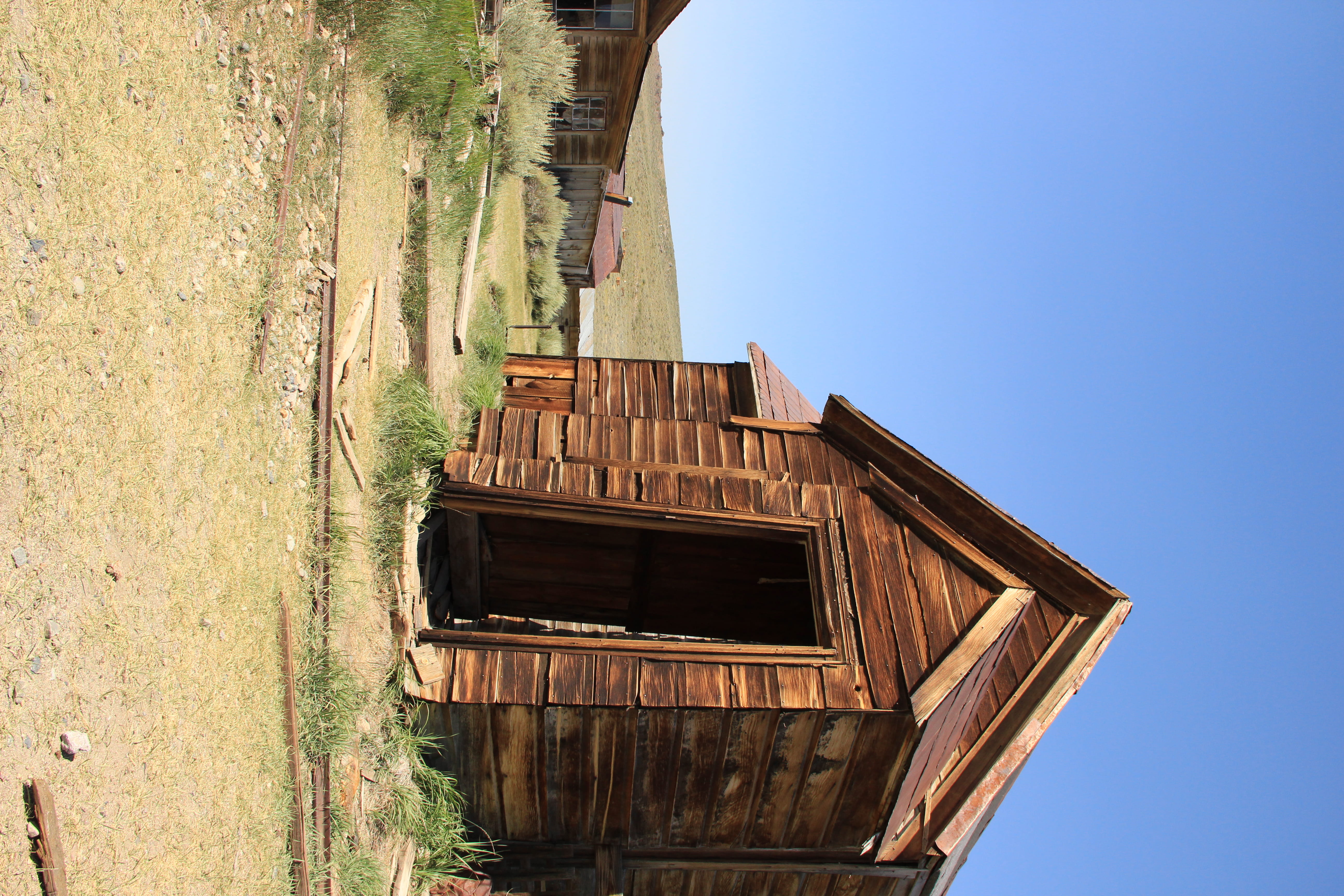 old, united states, far west, tree, sunlight, ghost, built structure, no people, town, grass, environment, wooden, bodie, wood - material, clear sky, plant, HD Wallpaper