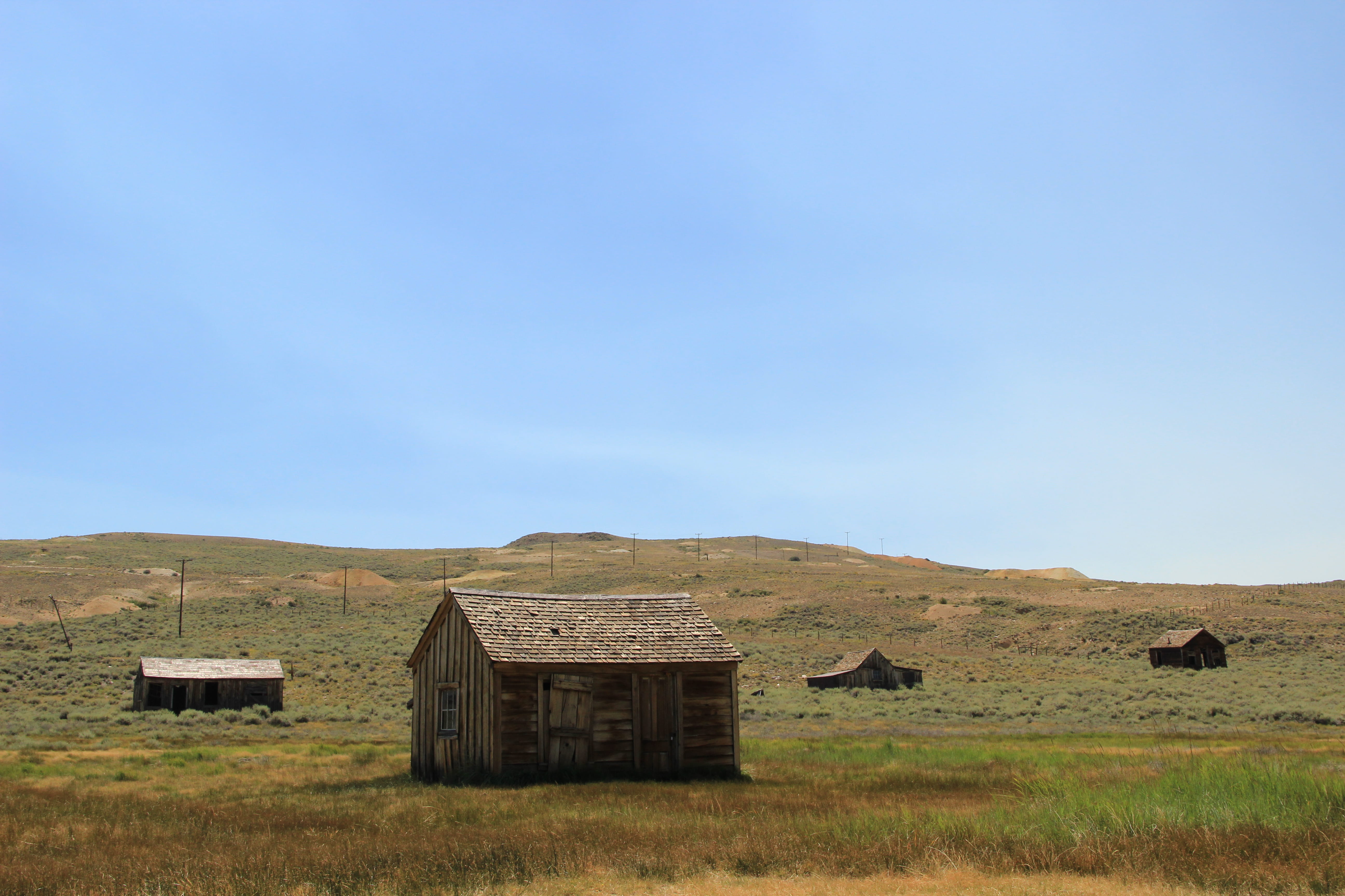 building exterior, grass, day, town, agriculture, 5K, wooden, environment, built structure, wood, ghost, residential district, building, bodie, far west, HD Wallpaper