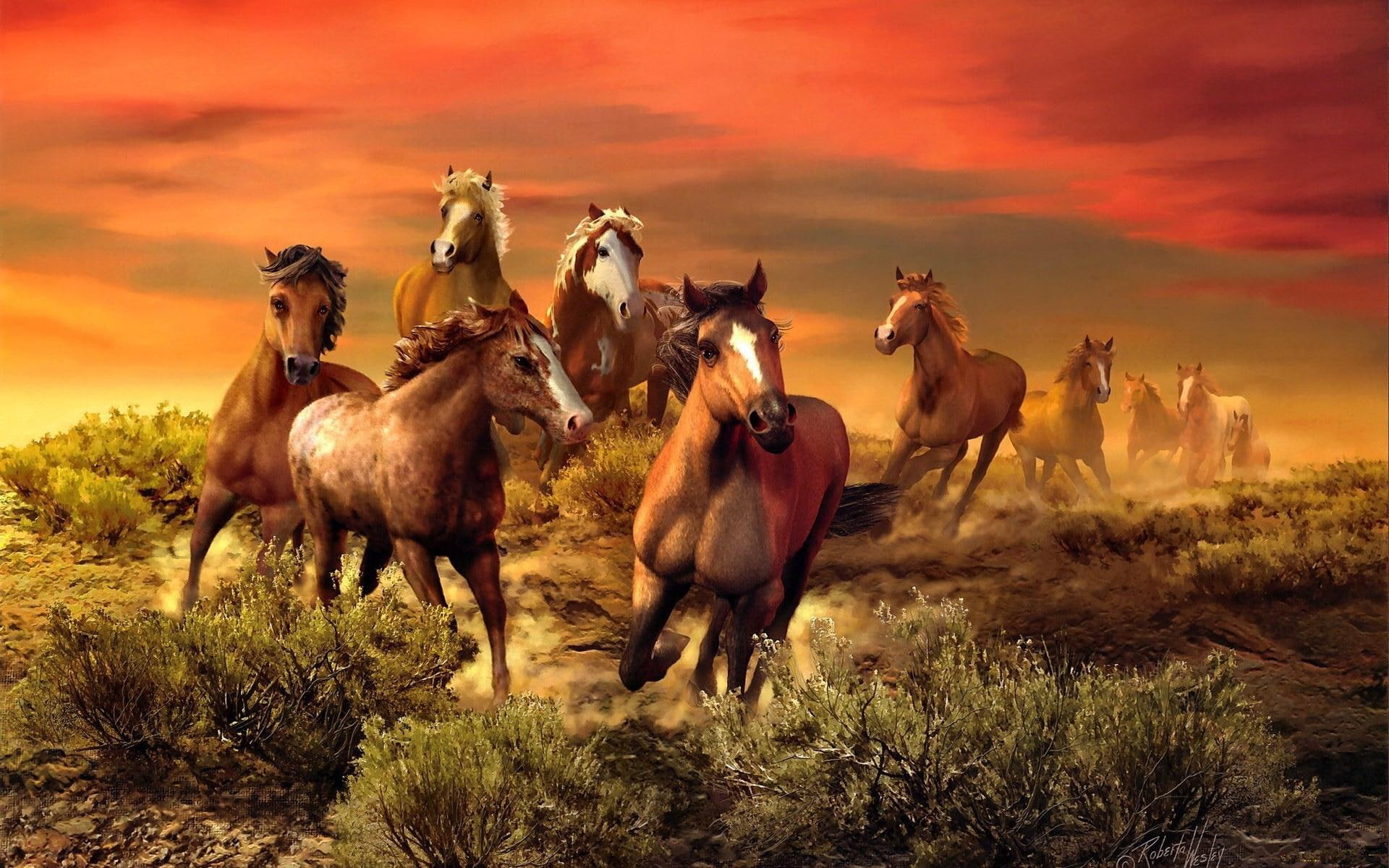 grass, ride, 1080P, fiery, brown, horse, bunch, meadow, clouds, wilderness, herd, wild, nice, field, lovely, nature, fire, beautiful, HD Wallpaper
