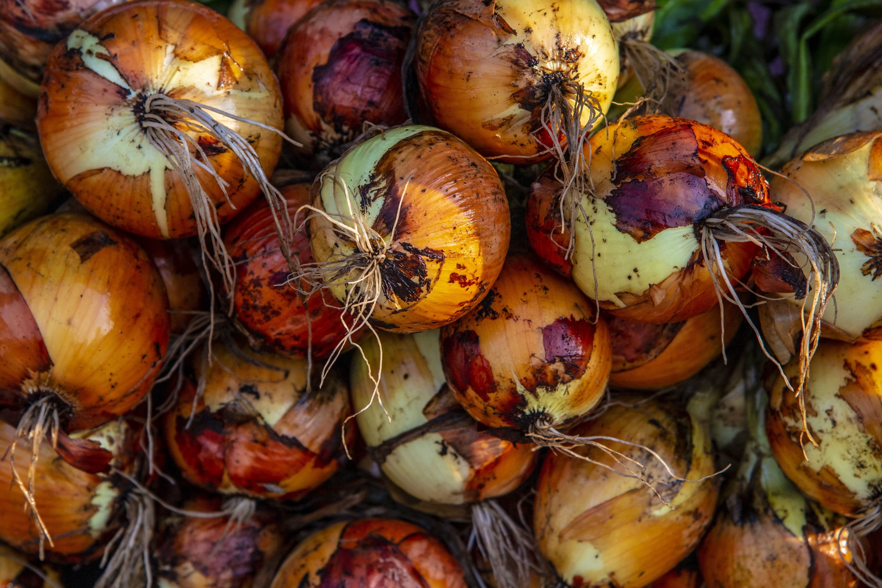 day, fresh, wellbeing, healthy eating, vegetable, full frame, abundance, high angle view, produce, 2K, no people, food and drink, fruit, large group of objects, HD Wallpaper