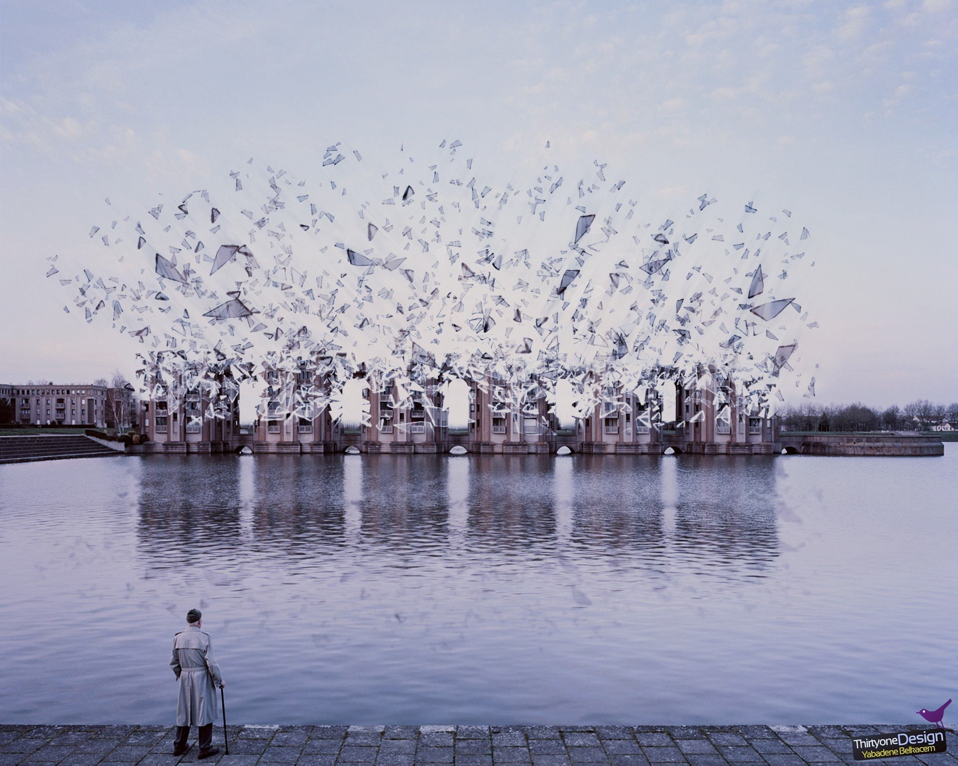 nature, animal themes, vertebrate, one person, animal, building exterior, Old People, digital art, Explosion, sky, plant, building, day, real people, Dispersion, HD Wallpaper