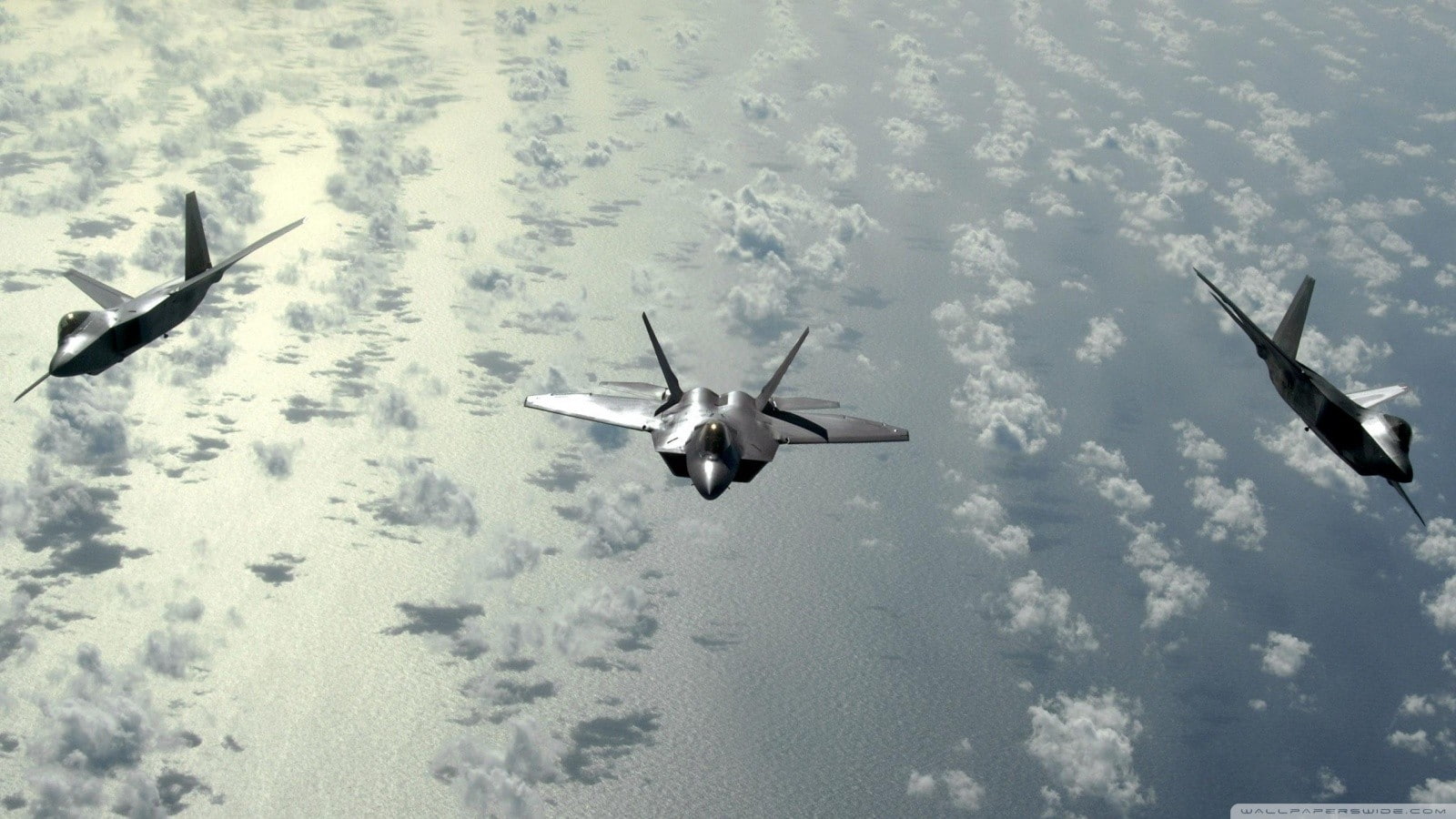 transportation, animals in the wild, day, flying, military, 720P, cold temperature, F-22 Raptor, mode of transportation, nature, high angle view, airplane, HD Wallpaper