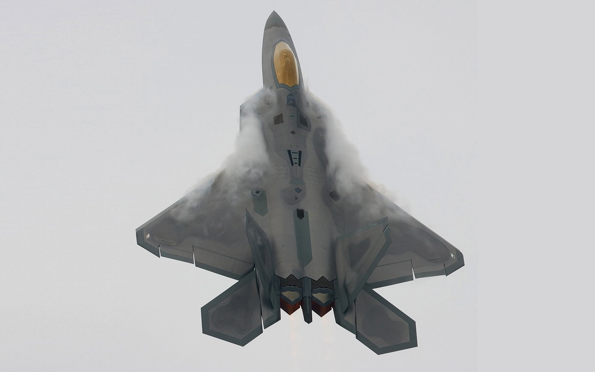nature, outdoors, aggression, aerospace industry, mode of transportation, animal, military, one animal, shark, copy space, 1080P, studio shot, flying, HD Wallpaper