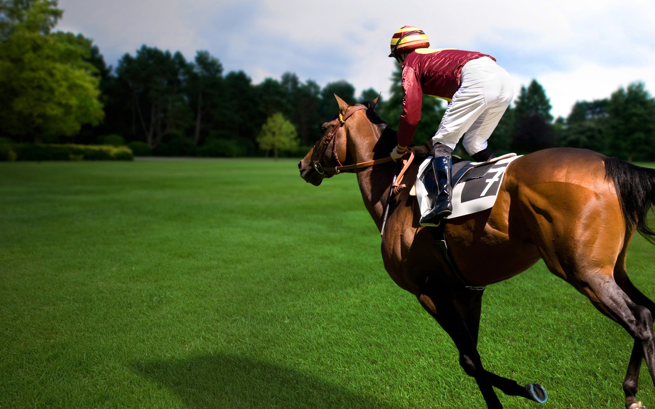 sports, jockey, hd, 2K, HD Wallpaper