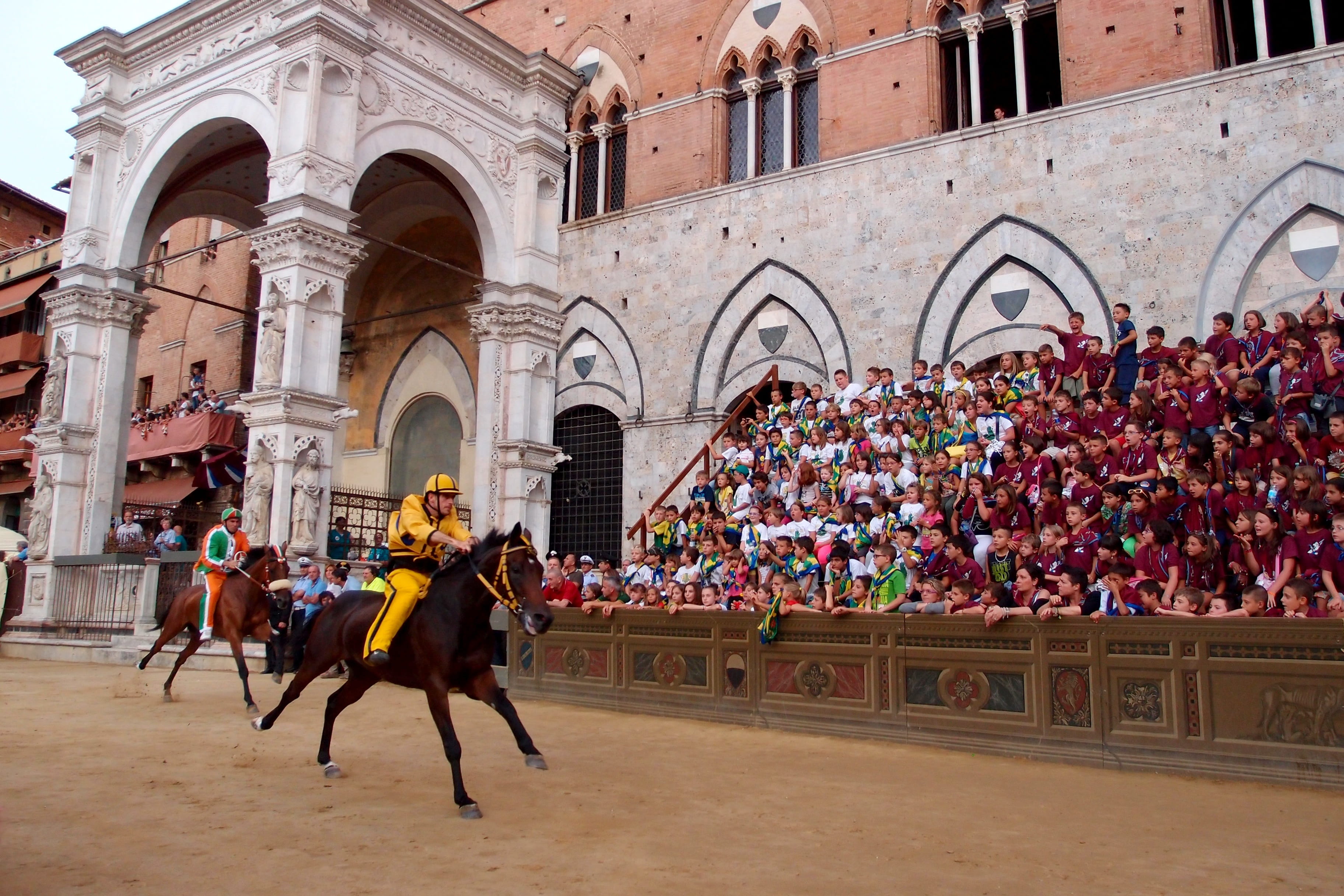 horse, sienna, pets, riding, domestic animals, group of people, jockey, people, palio, races, mammal, real people, domestic, outdoors, vertebrate, 2K, HD Wallpaper