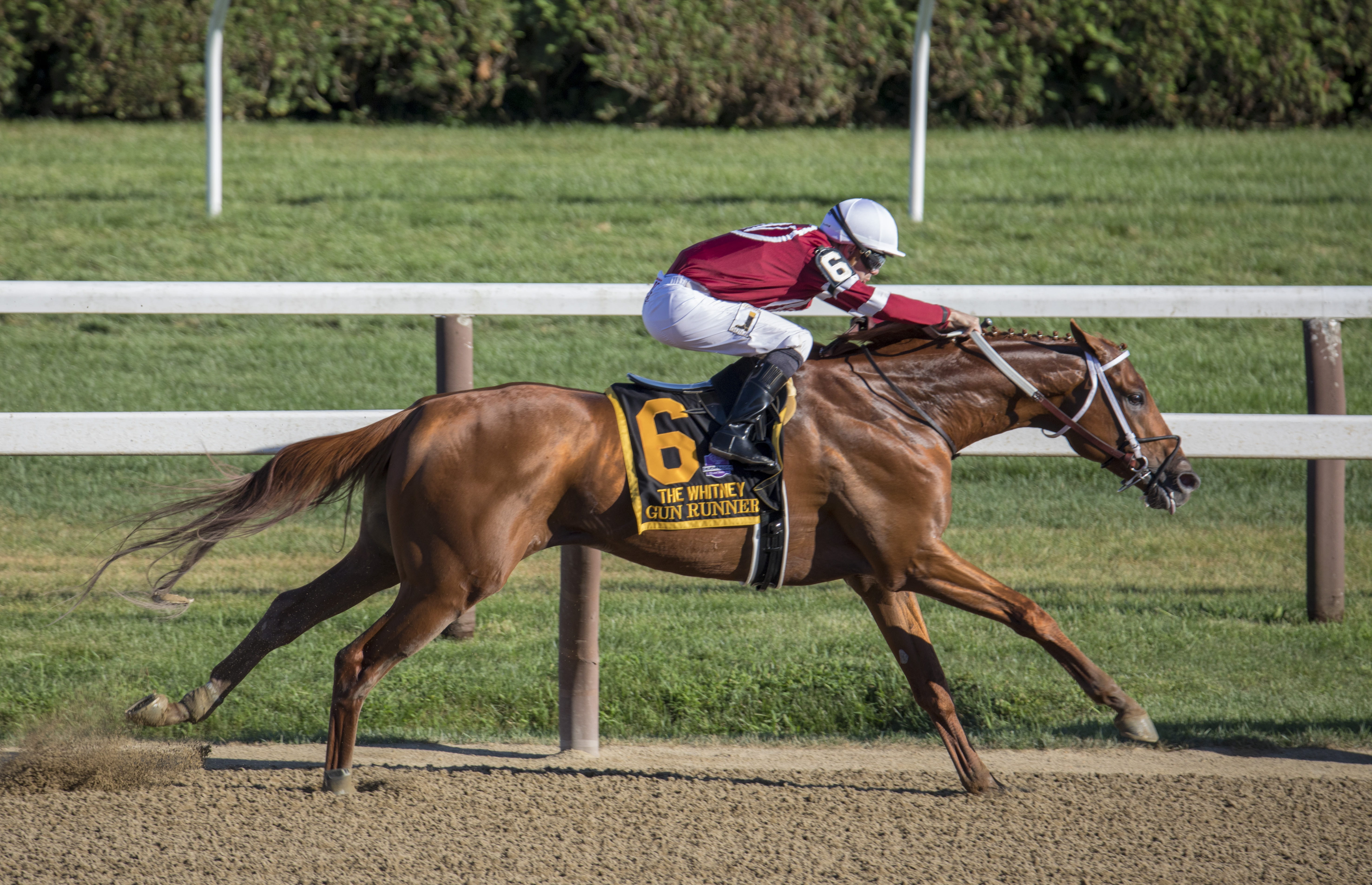 racing, activity, herbivorous, sport, race, pets, 5K, animal, daytime, one animal, riding, vertebrate, jockey, working animal, horseback riding, domestic, HD Wallpaper