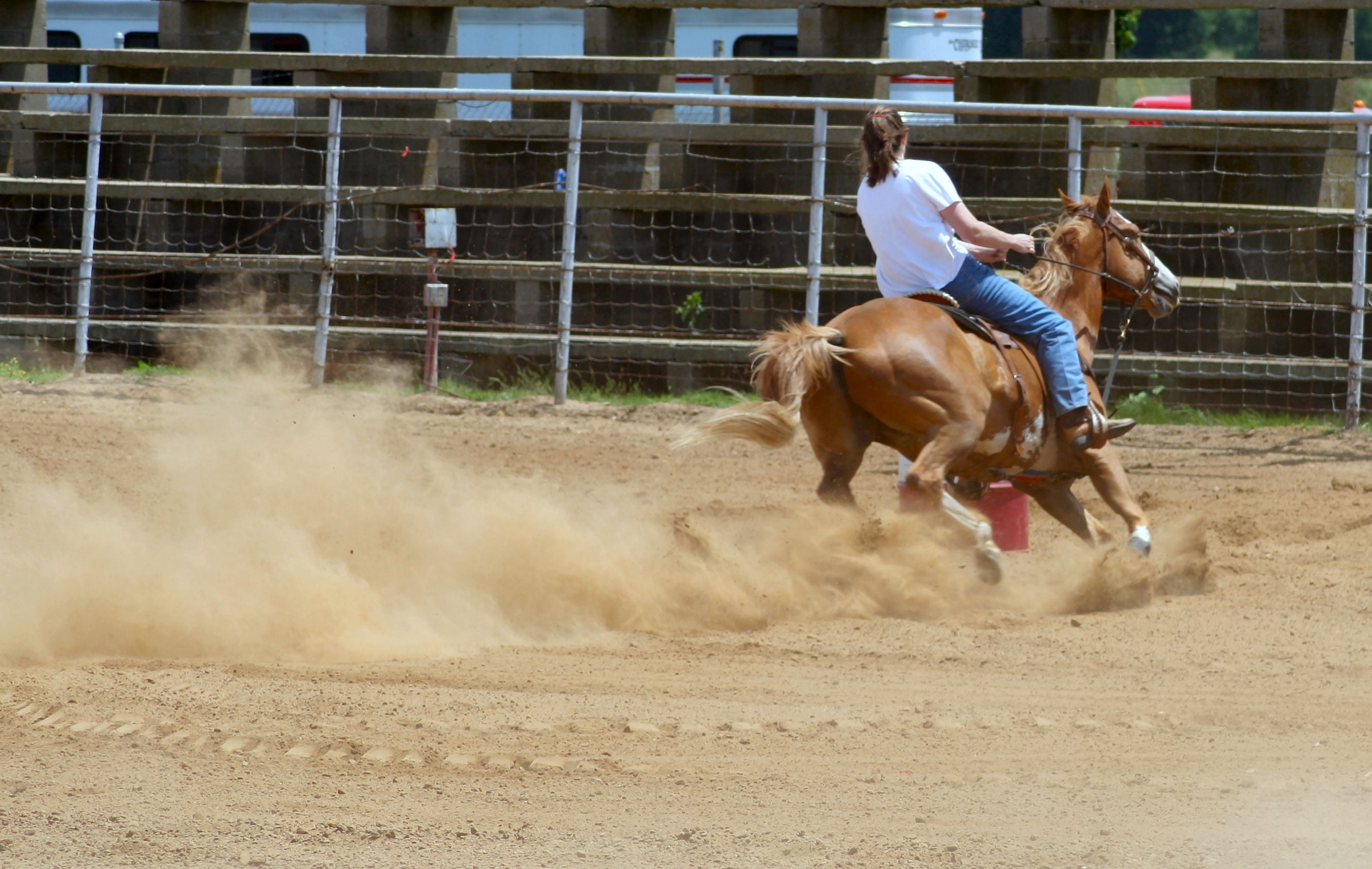 mammal, riding, outdoors, competitive Sport, girl, west, amazon, horseback Riding, race, botte, sport, domestic, domestic animals, jockey, boundary, vertebrate, HD Wallpaper