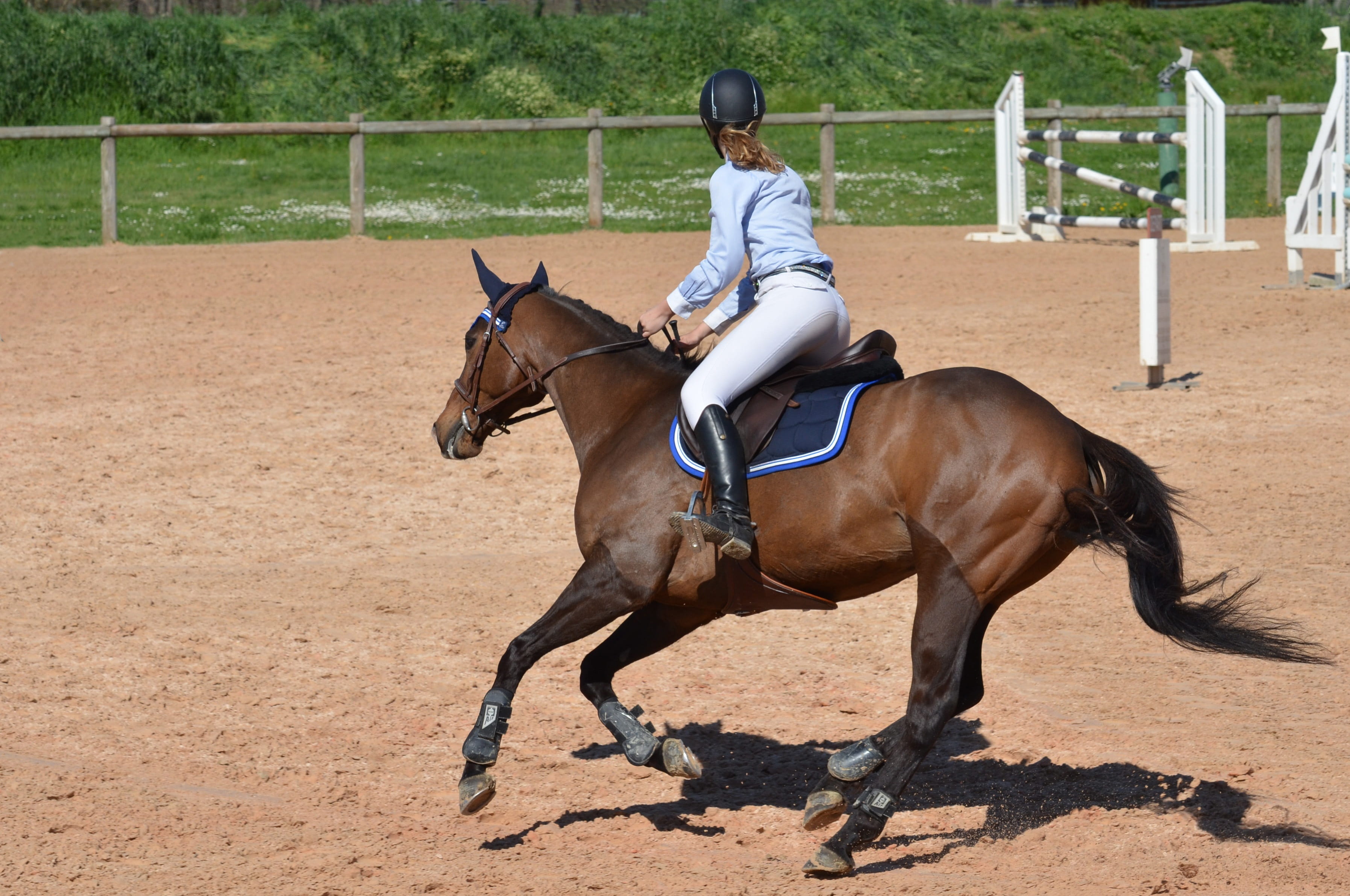 horseback Riding, jockey, animals And Pets, one person, activity, sports Venue, animal Sport, mammal, animal wildlife, racehorse, daytime, women, domestic, HD Wallpaper