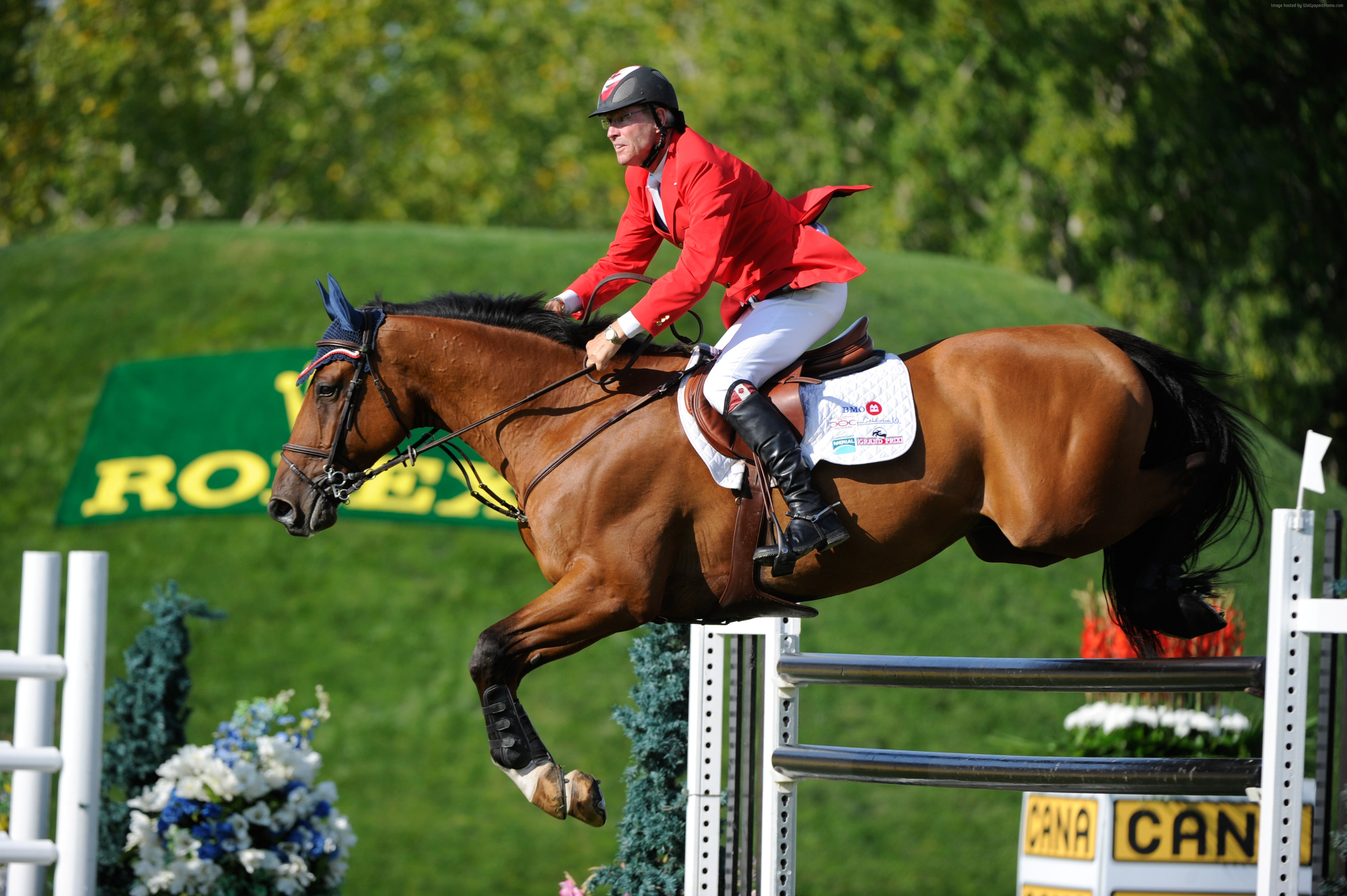 vertebrate, outdoors, horseback riding, horse, herbivorous, competition, domestic, animal wildlife, animal themes, mammal, sports race, 4K, livestock, jockey, HD Wallpaper