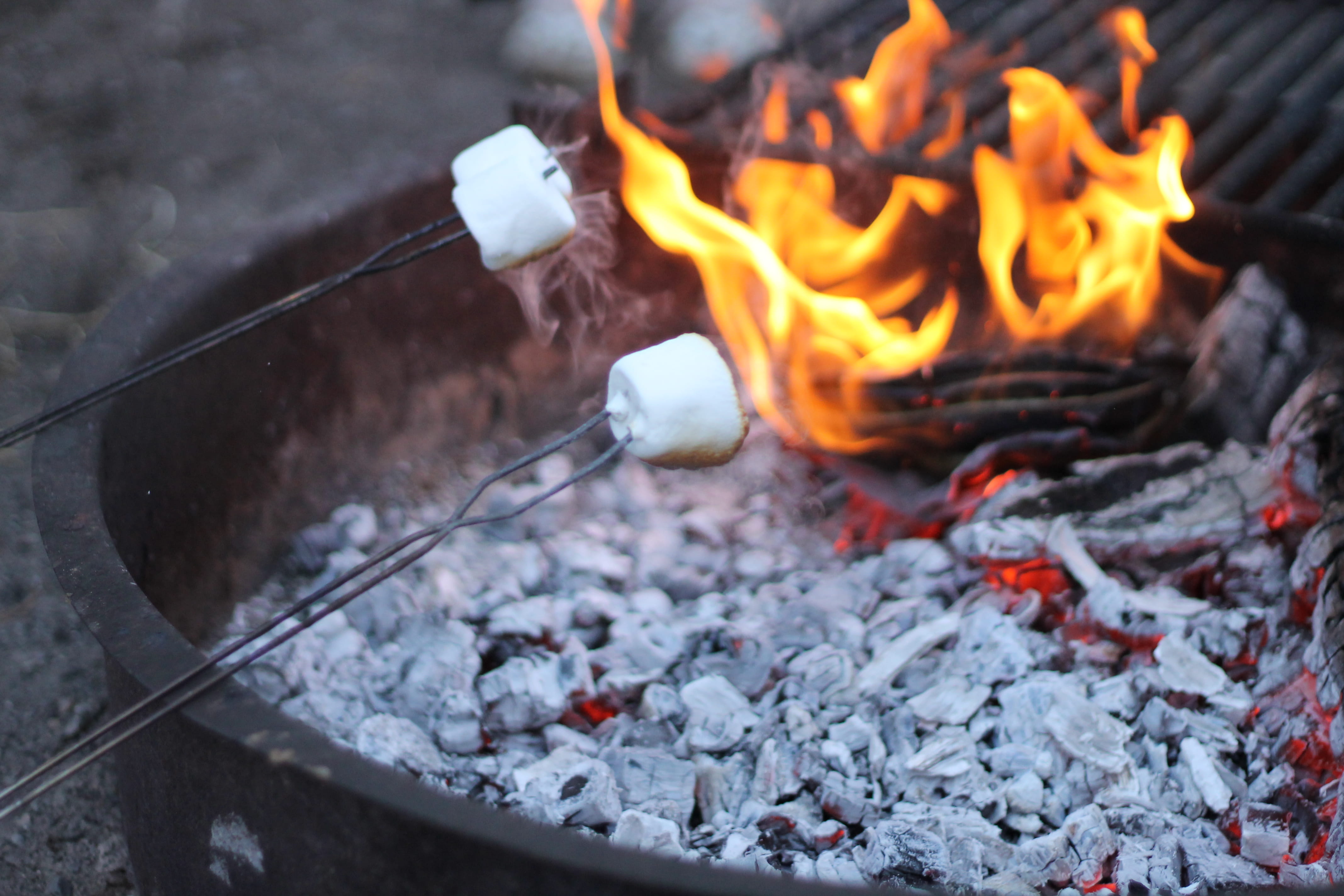 camping, ash, kitchen utensil, no people, flame, glowing, preparation, outdoors, 4K, nature, fire - natural phenomenon, fire, heat - temperature, food, HD Wallpaper
