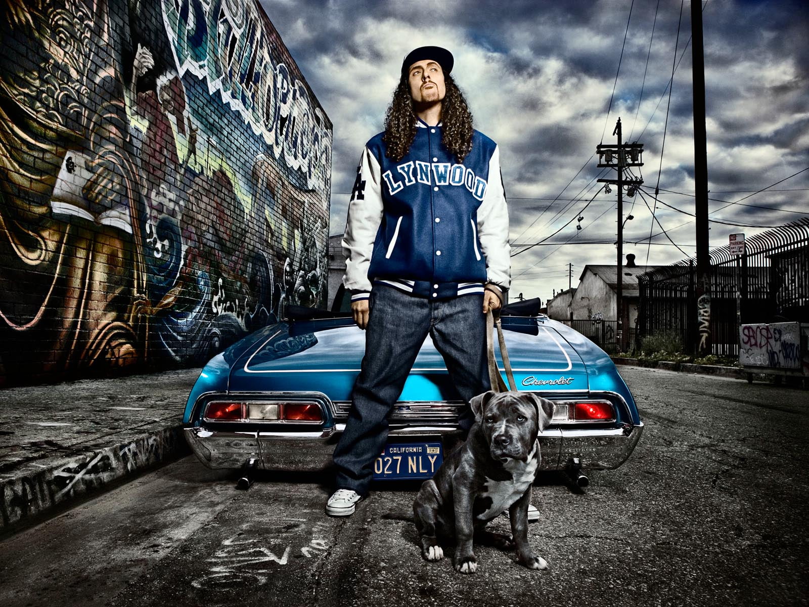 pets, white, s, standing, button, songwriter, american, mode of transportation, portrait, producer, land vehicle, car, mammal, Music, one animal, yankovic, HD Wallpaper