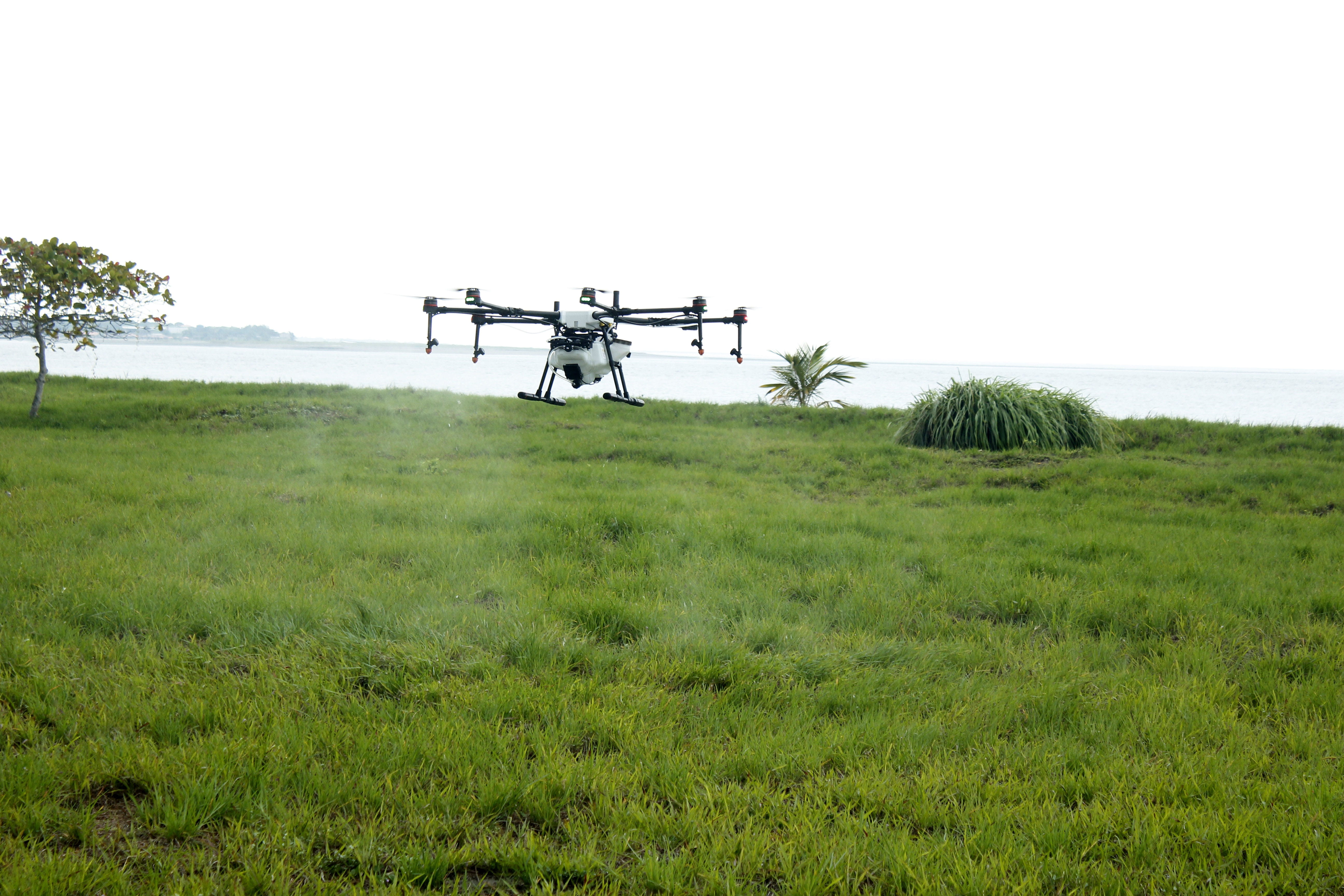 sky, tranquil scene, tree, fumigation, drone, growth, no people, environment, tranquility, day, spray, 5K, cultivation, agriculture, green color, sea level, HD Wallpaper