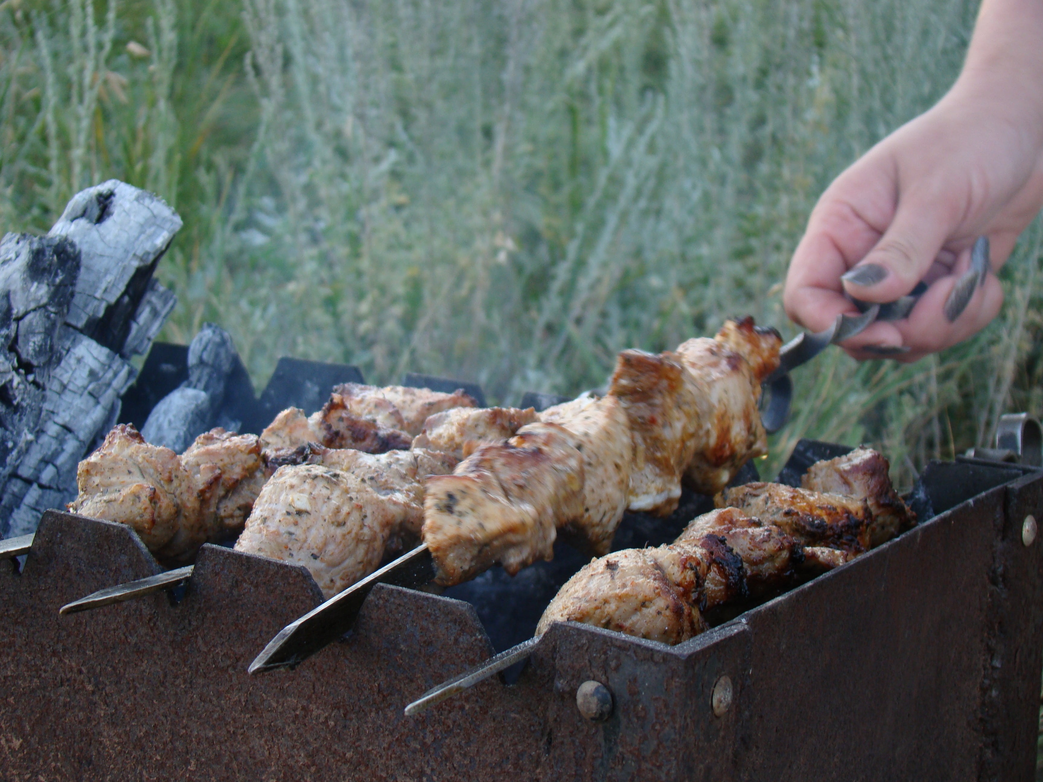 white meat, mangal, human hand, grilled, heat - temperature, barbecue, on the nature, summer, coals, serving tongs, freshness, food, one person, day, roast, HD Wallpaper