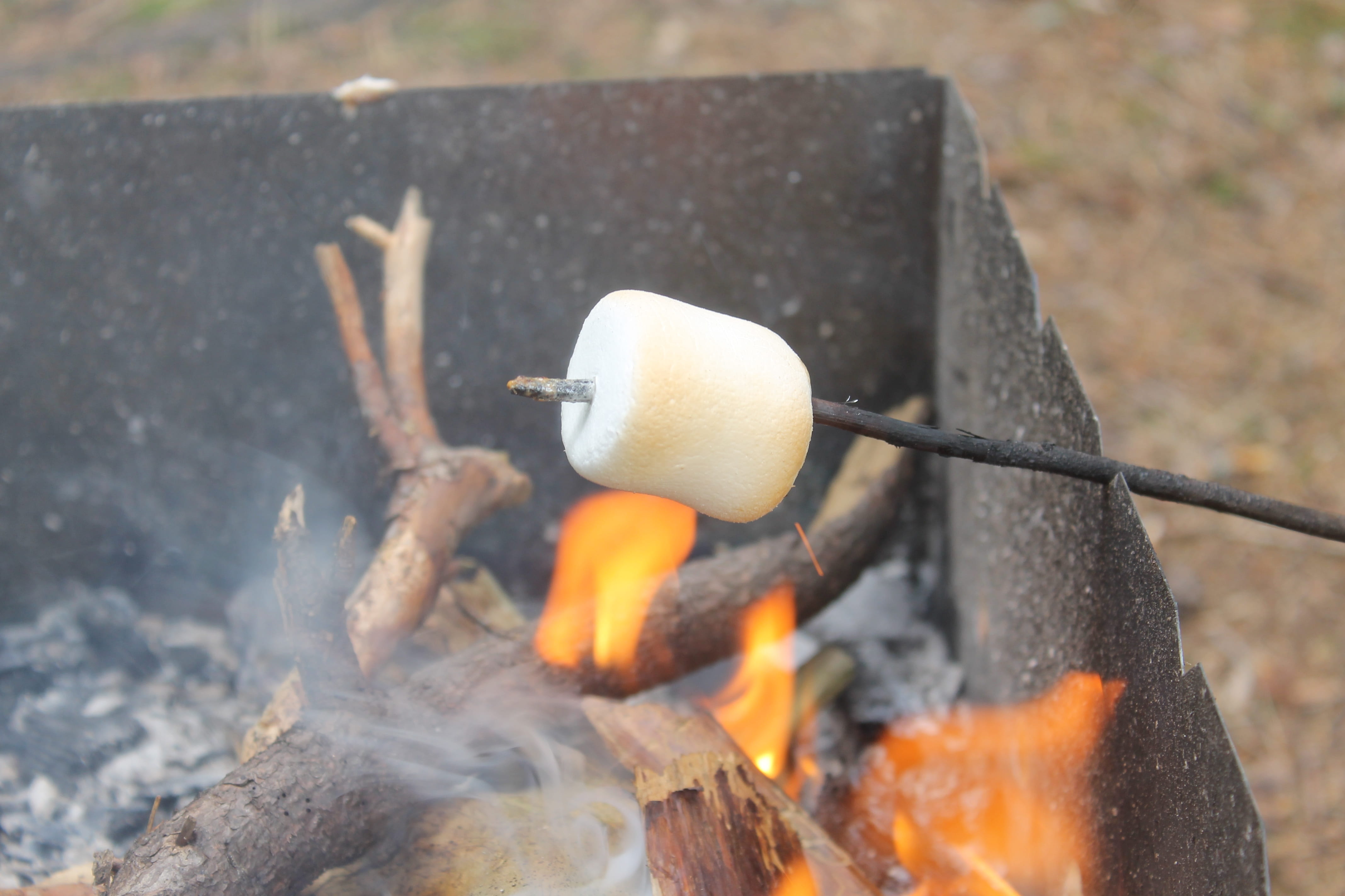 wood, nature, on the nature, day, burns, burning, preparation, summer, fried, koster, flame, fire, firewood, stick - plant part, close-up, food, outdoors, HD Wallpaper