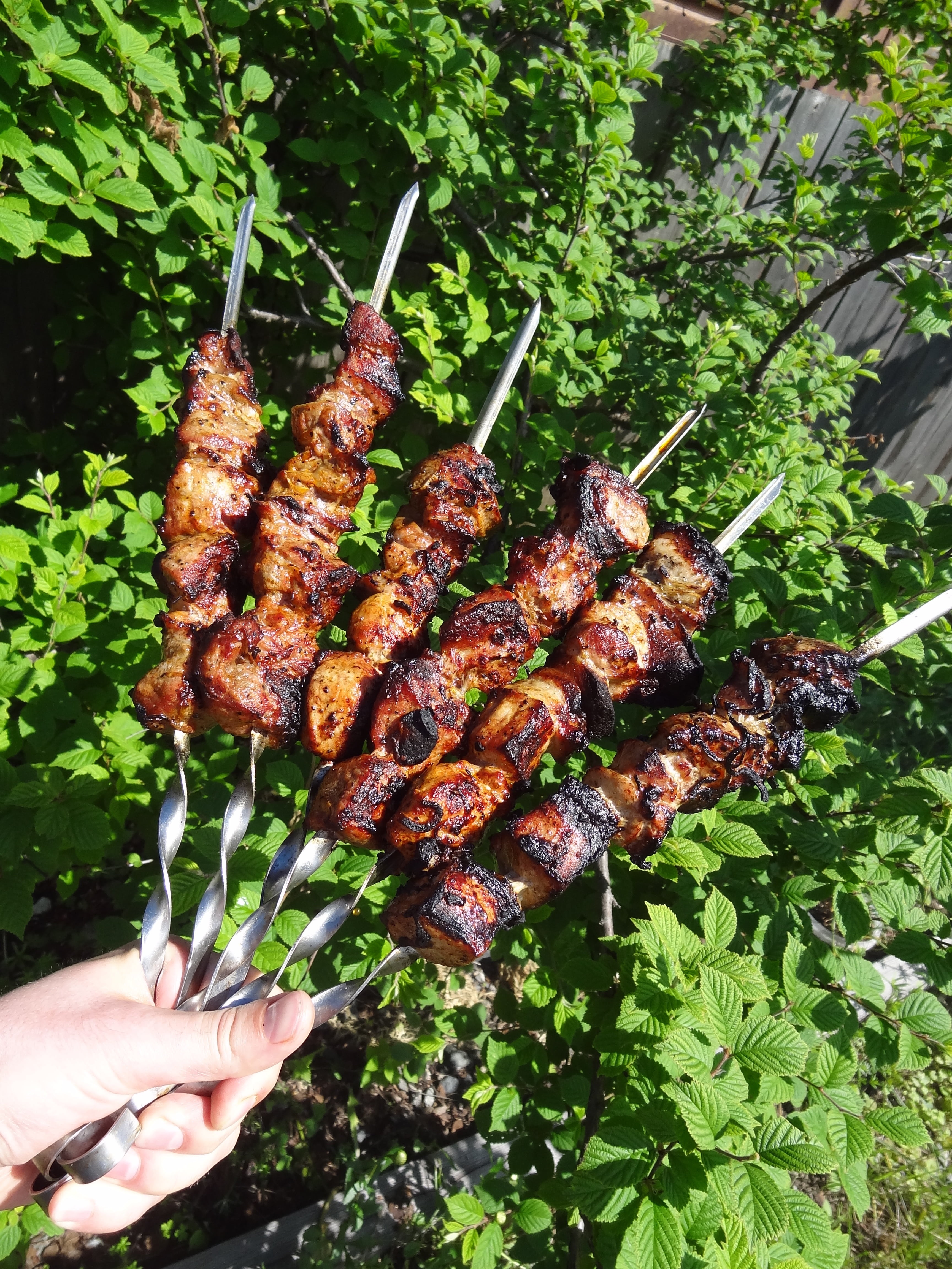 holding, 4K, day, food, barbecue, human finger, meat, one person, freshness, real people, grilled, unrecognizable person, shashlik, outdoors, skewer, body part, Phone HD Wallpaper