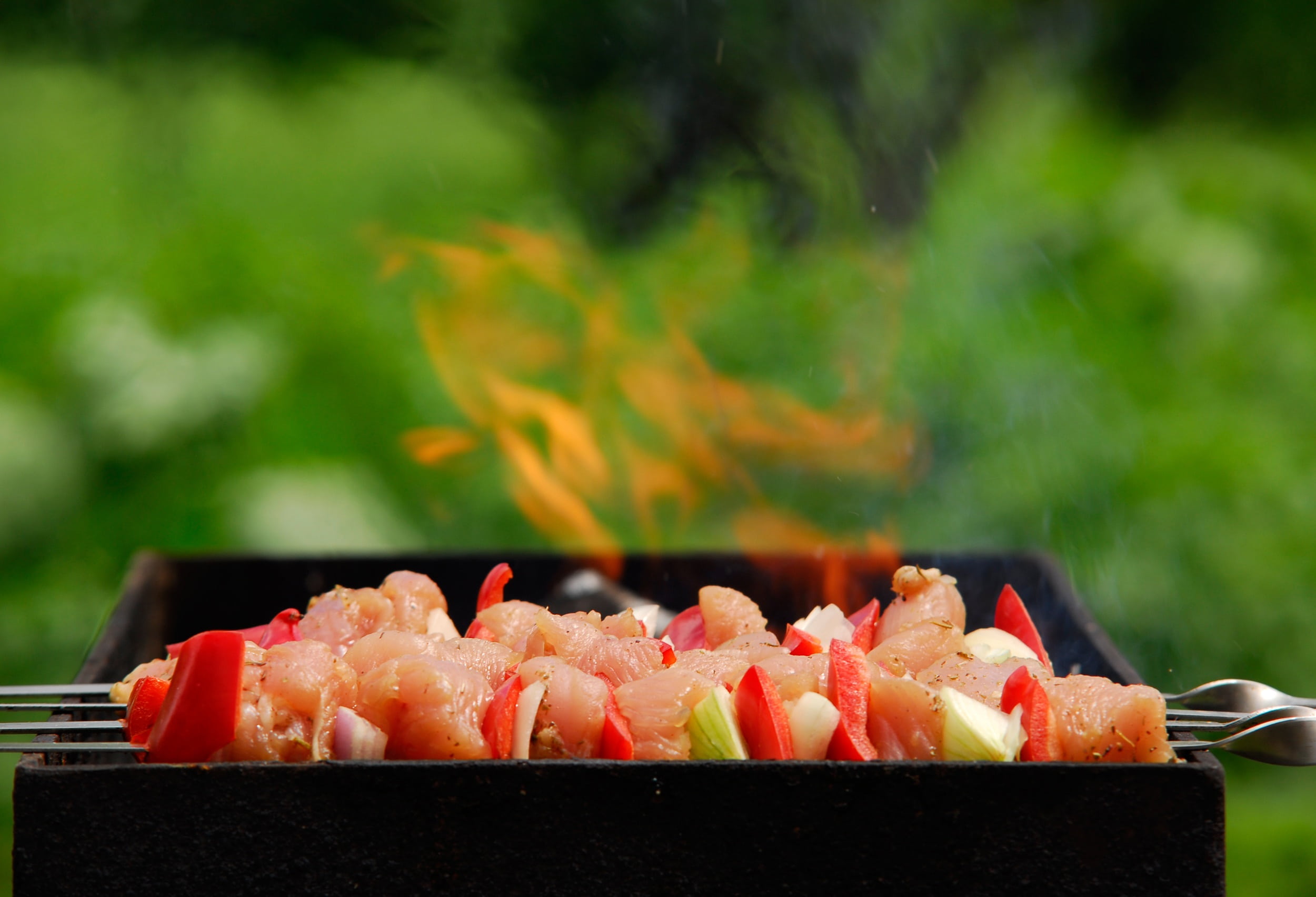 close-up, tomato, heat - temperature, rice, grilled, food, sashimi, day, onion, cooking, meat, poultry, turkey, asian food, wellbeing, sushi, barbecue, HD Wallpaper