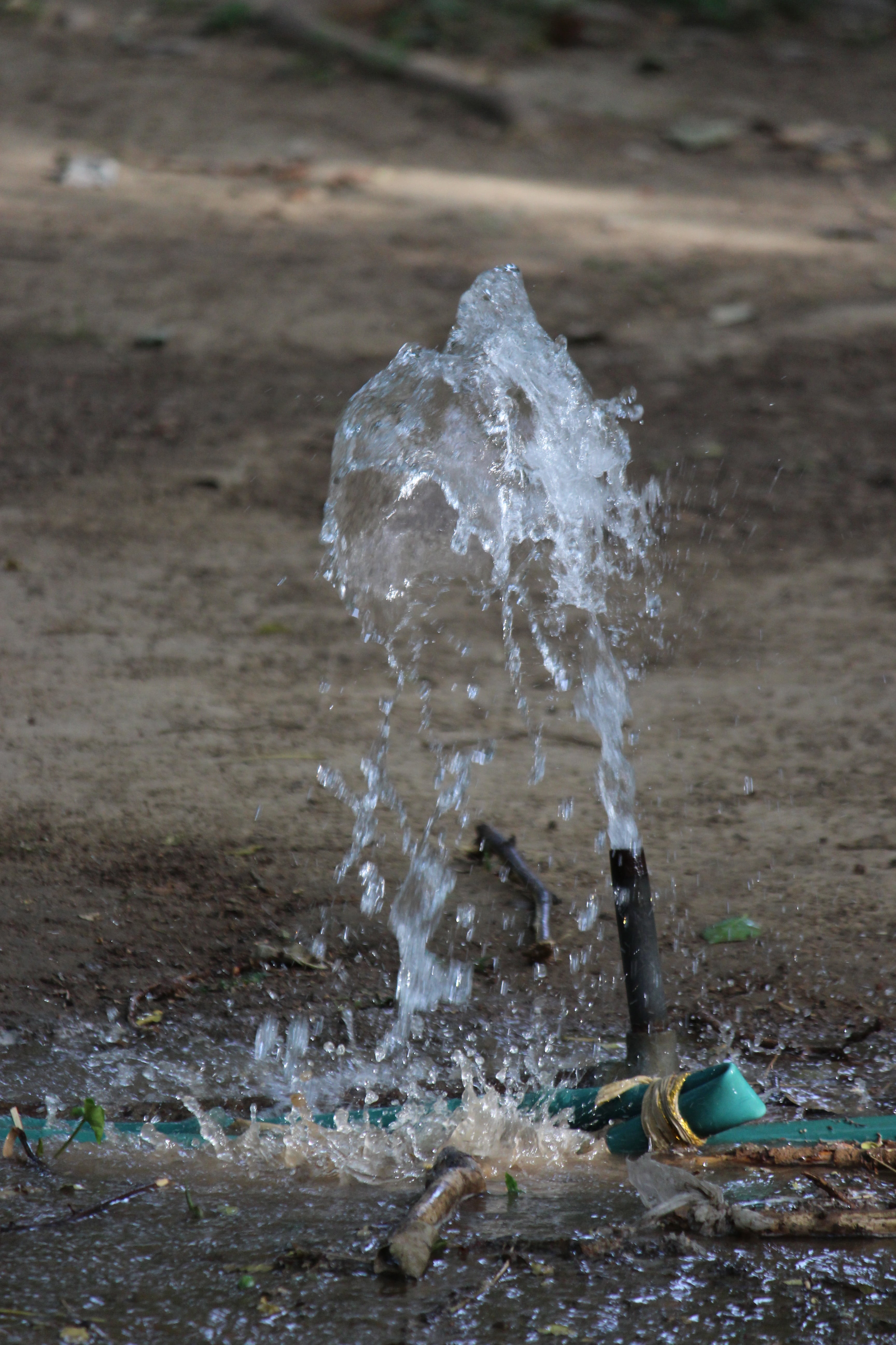 wastage, day, motion, close-up, splashing, blurred motion, long exposure, flowing, plant, 5K, outdoors, wet, focus on foreground, growth, no people, dirt, Phone HD Wallpaper