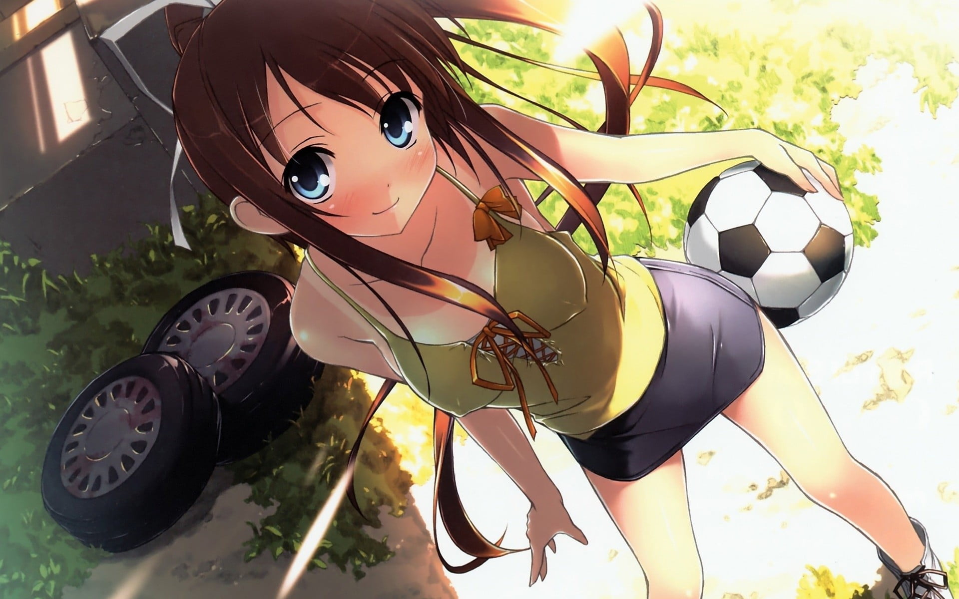 1080P, sunlight, soccer, human representation, plant, sport, sports equipment, no people, animal wildlife, art and craft, Miyazawa Midori, anime, close-up, HD Wallpaper