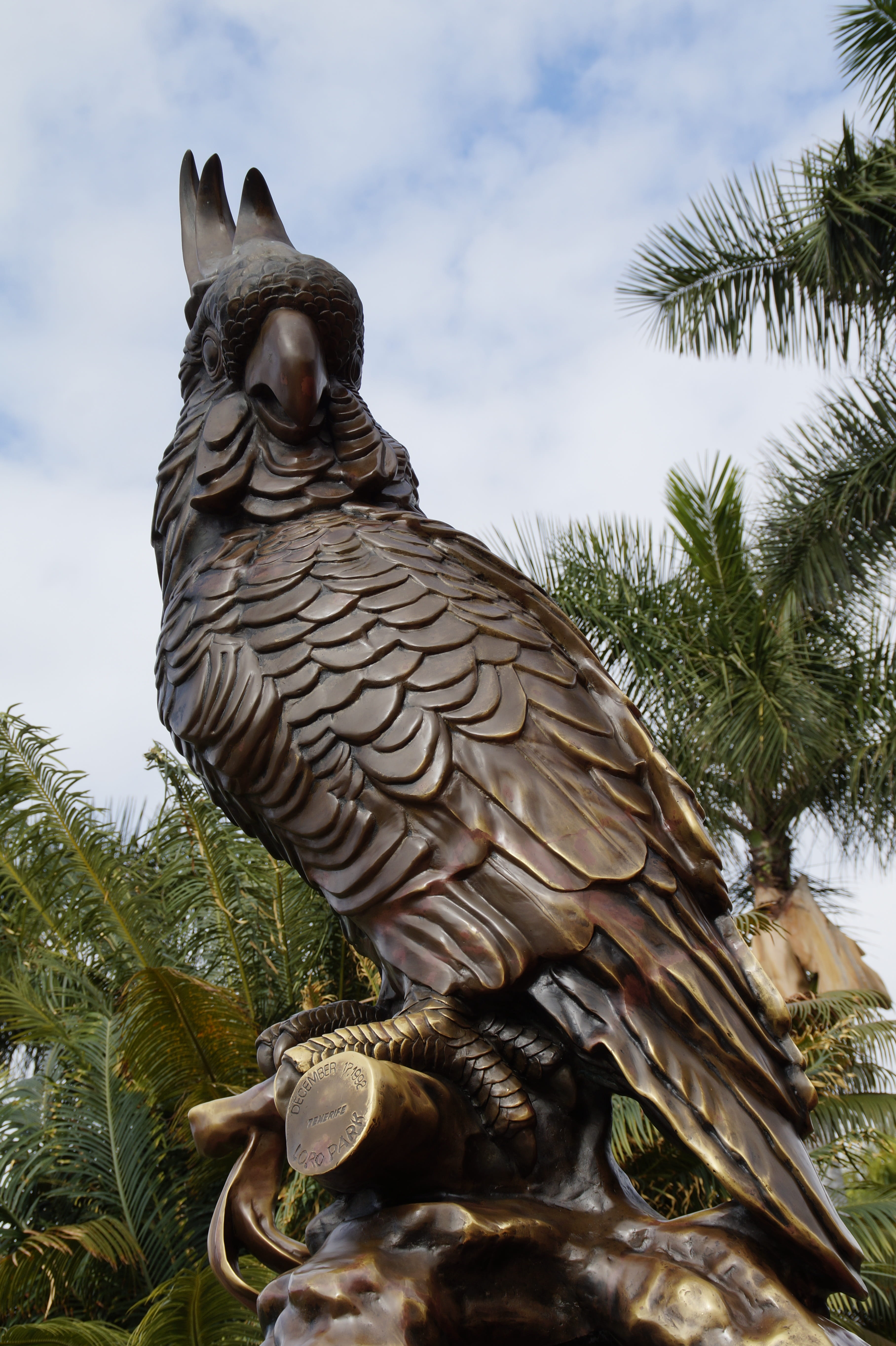 loro park, creativity, zoo, cloud - sky, no people, growth, representation, figure, 5K, Statue, low angle view, day, one animal, cockatoo, tree, outdoors, Phone HD Wallpaper