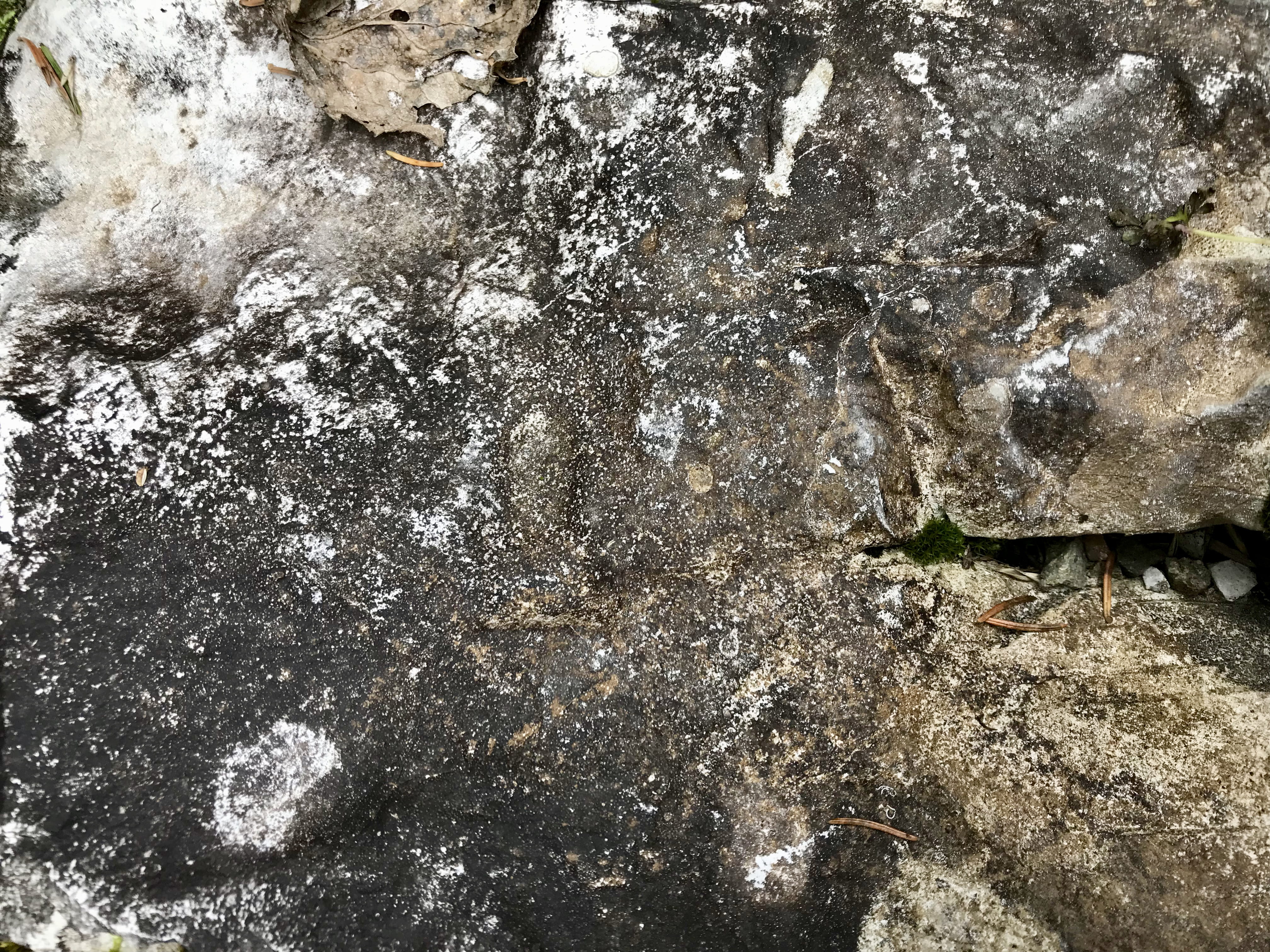 rough, dirt, full frame, nature, hiking, rock, adventuretime, leafs, iphone, weathered, outdoors, hike, wall, national park, iphonephotography, textured, HD Wallpaper
