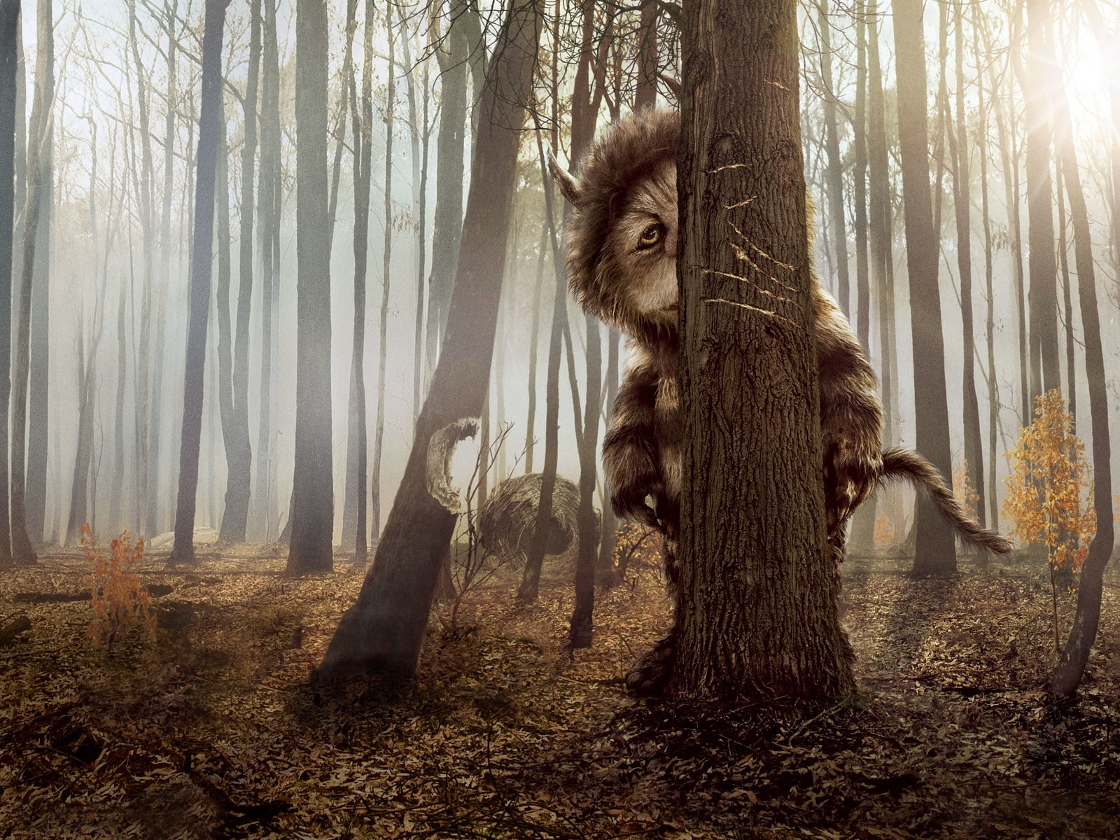 growth, tree, fog, spooky, domestic Cat, nature, animal wildlife, beauty In Nature, autumn, tree trunk, woodland, forest, mammal, animal themes, trunk, HD Wallpaper
