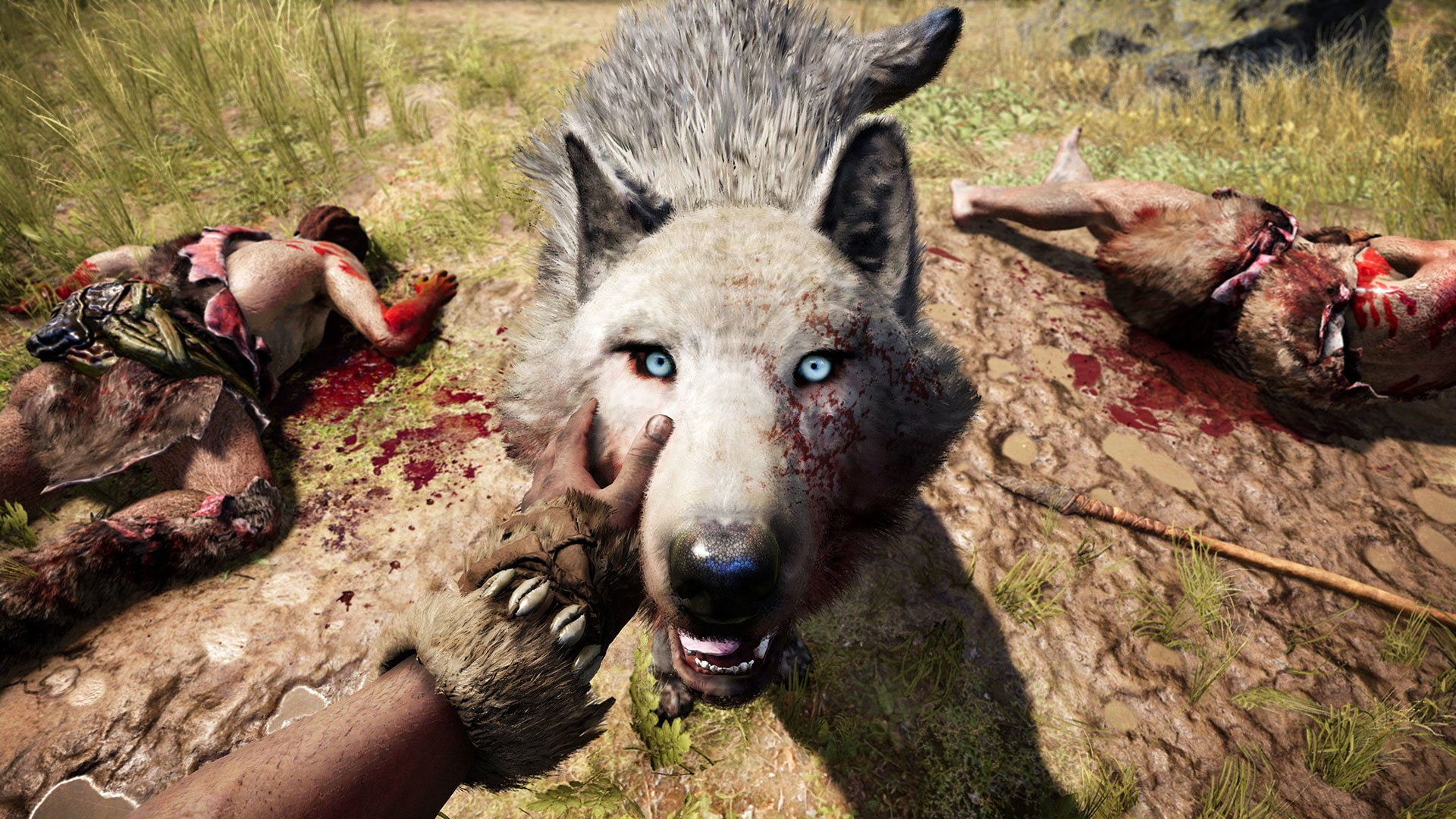 Far Cry, 1080P, Far Cry Primal, HD Wallpaper