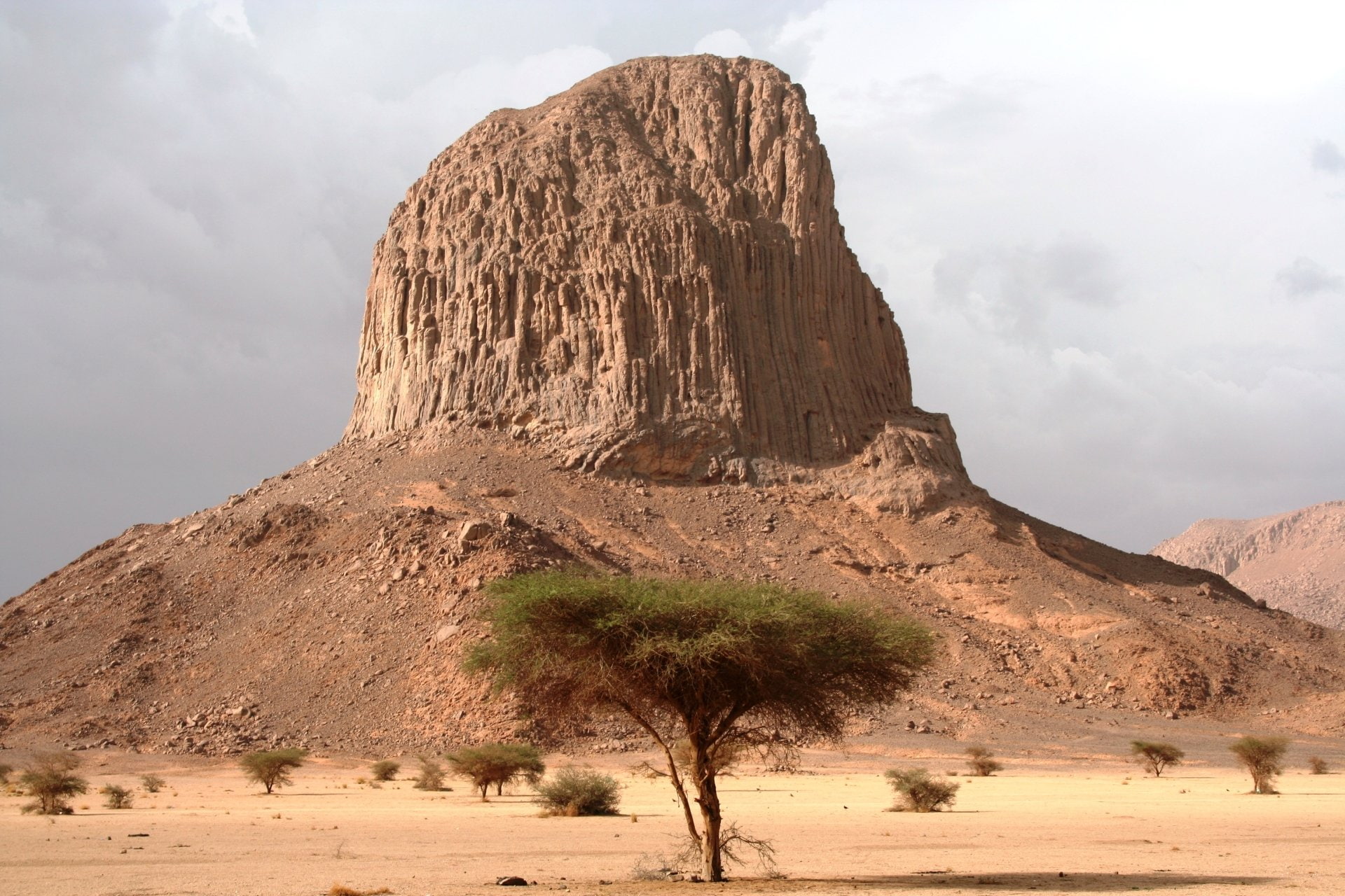 Tassili, Algeria, Landscape, Mountain, Desert, Sahara, Tree, Africa, Mountains, 1080P, Hoggar Mountains, HD Wallpaper