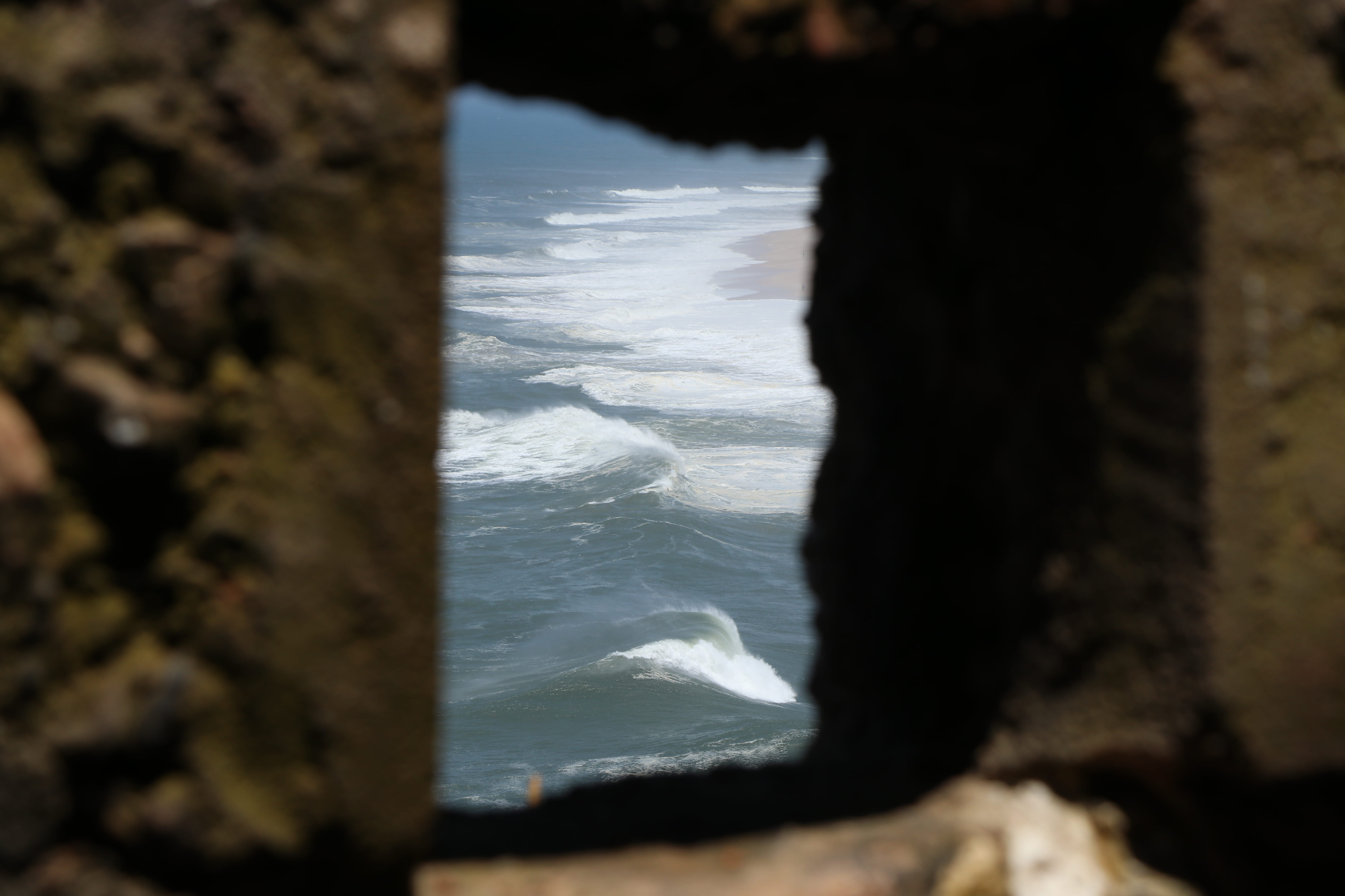 land, communication, outdoors, motion, water, beach, tree trunk, adult, selective focus, trunk, 5K, portugal, landscape, solid, people, day, HD Wallpaper