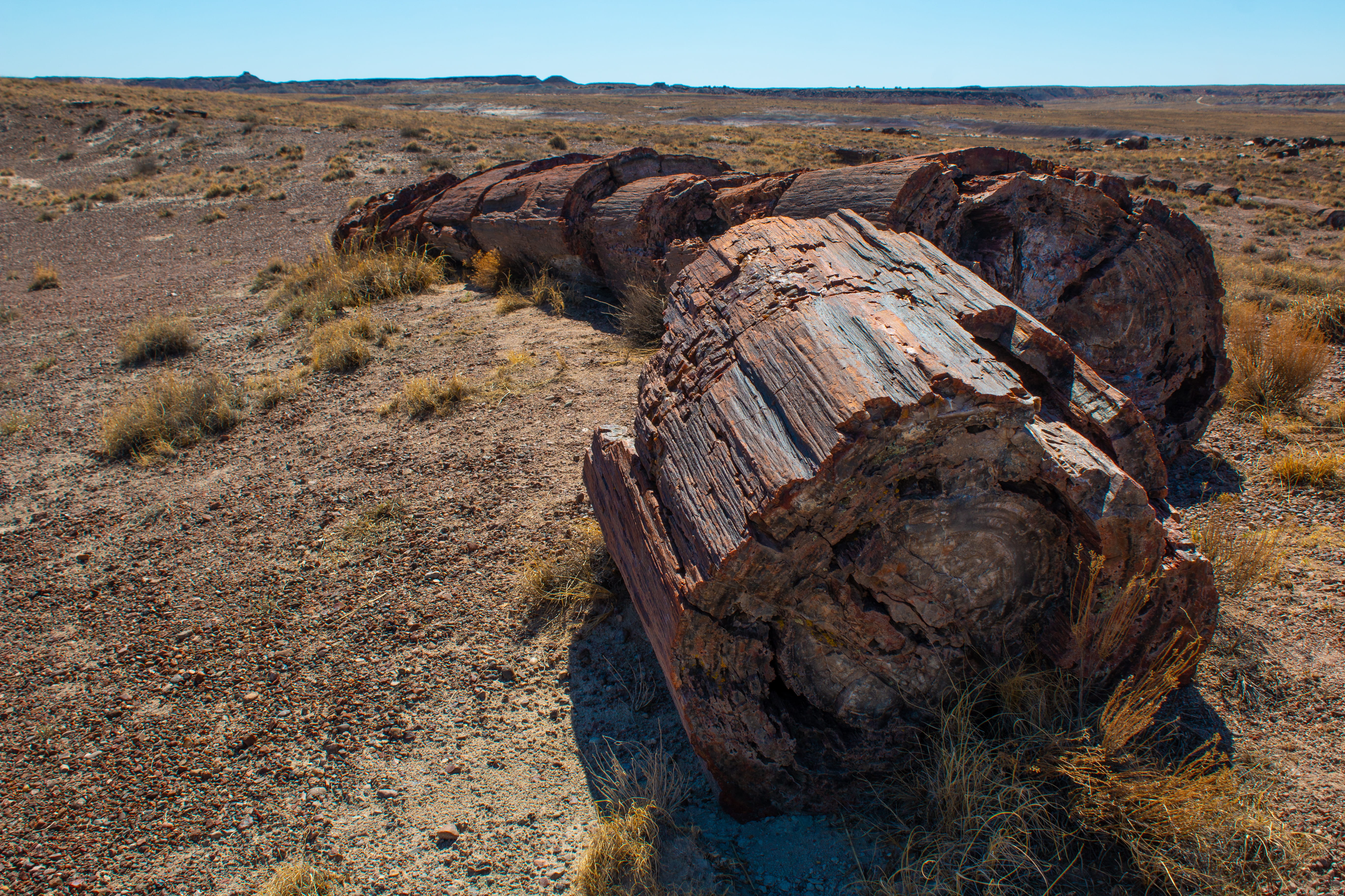 rock, geology, tranquil scene, day, arid climate, climate, sky, nature, environment, 5K, landscape, land, petrified forest national park, non-urban scene, HD Wallpaper