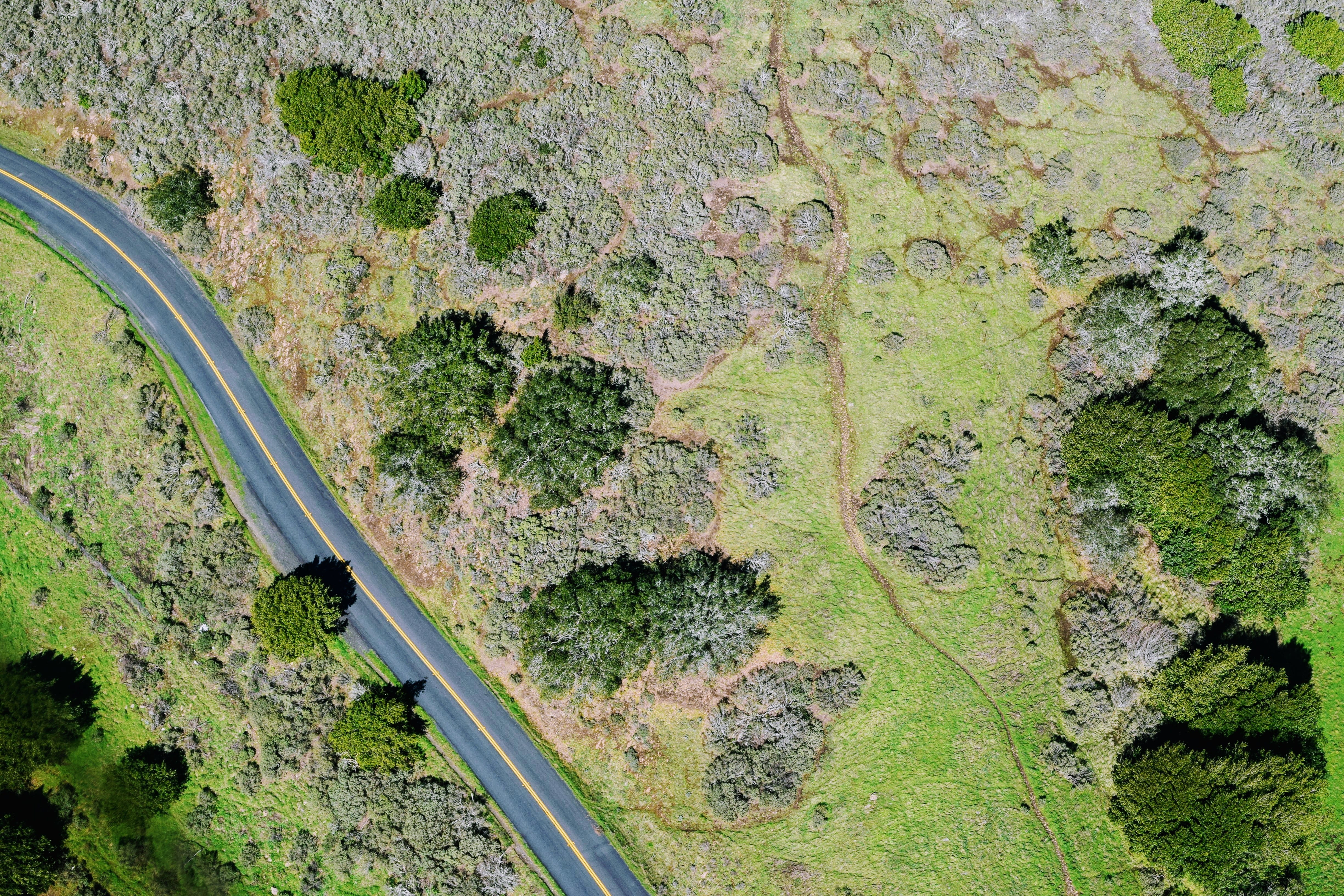 geography, tranquil scene, from above, tranquility, no people, day, pavement, 4K, drone cam, retro, green color, top view, soil, tree, outdoors, surface, HD Wallpaper