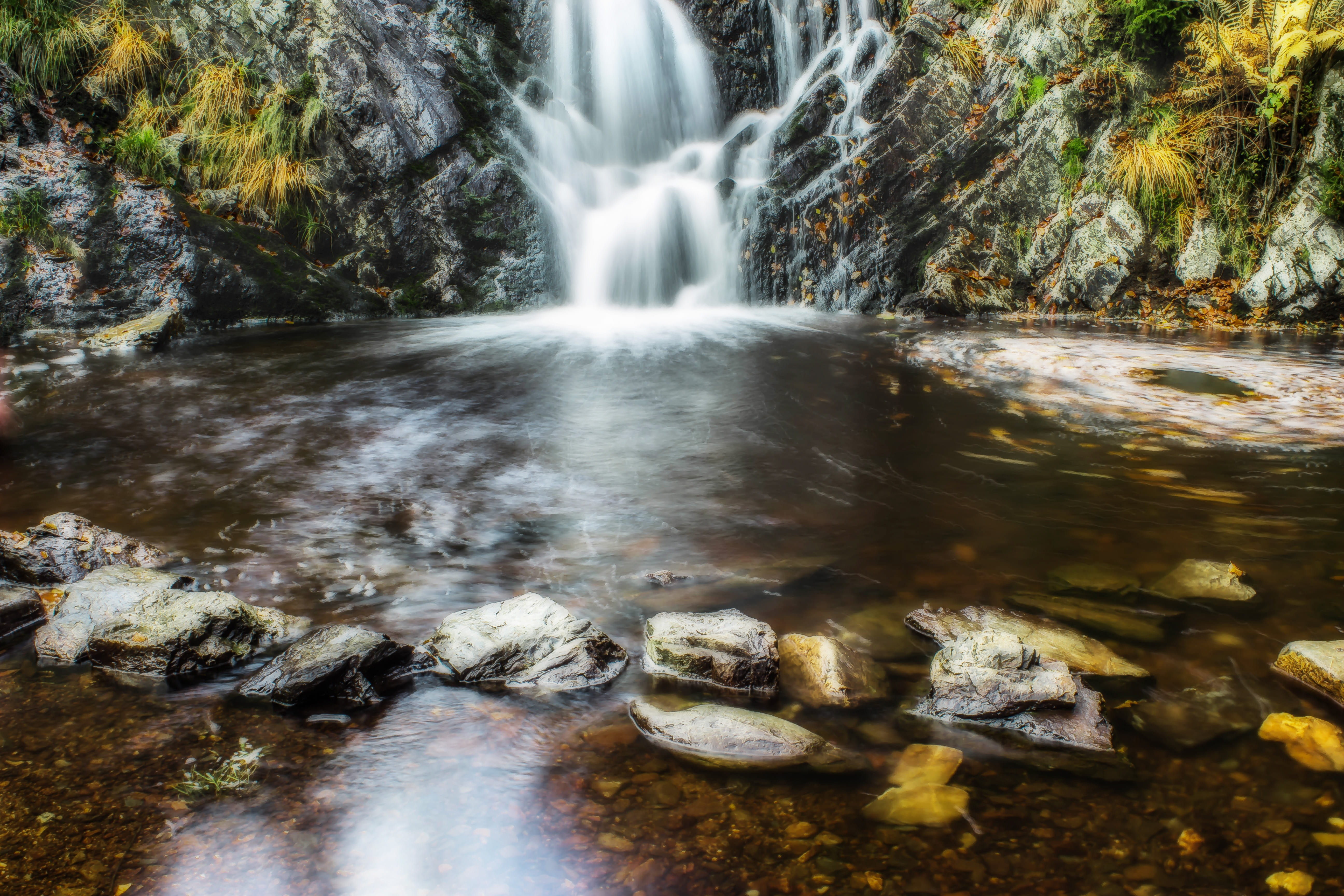 natural spectacle, waters, falling water, beauty in nature, land, pyrite-rich water, drifting leaves, rock wall, small waterfall, waterfalls, trees in the rock, HD Wallpaper