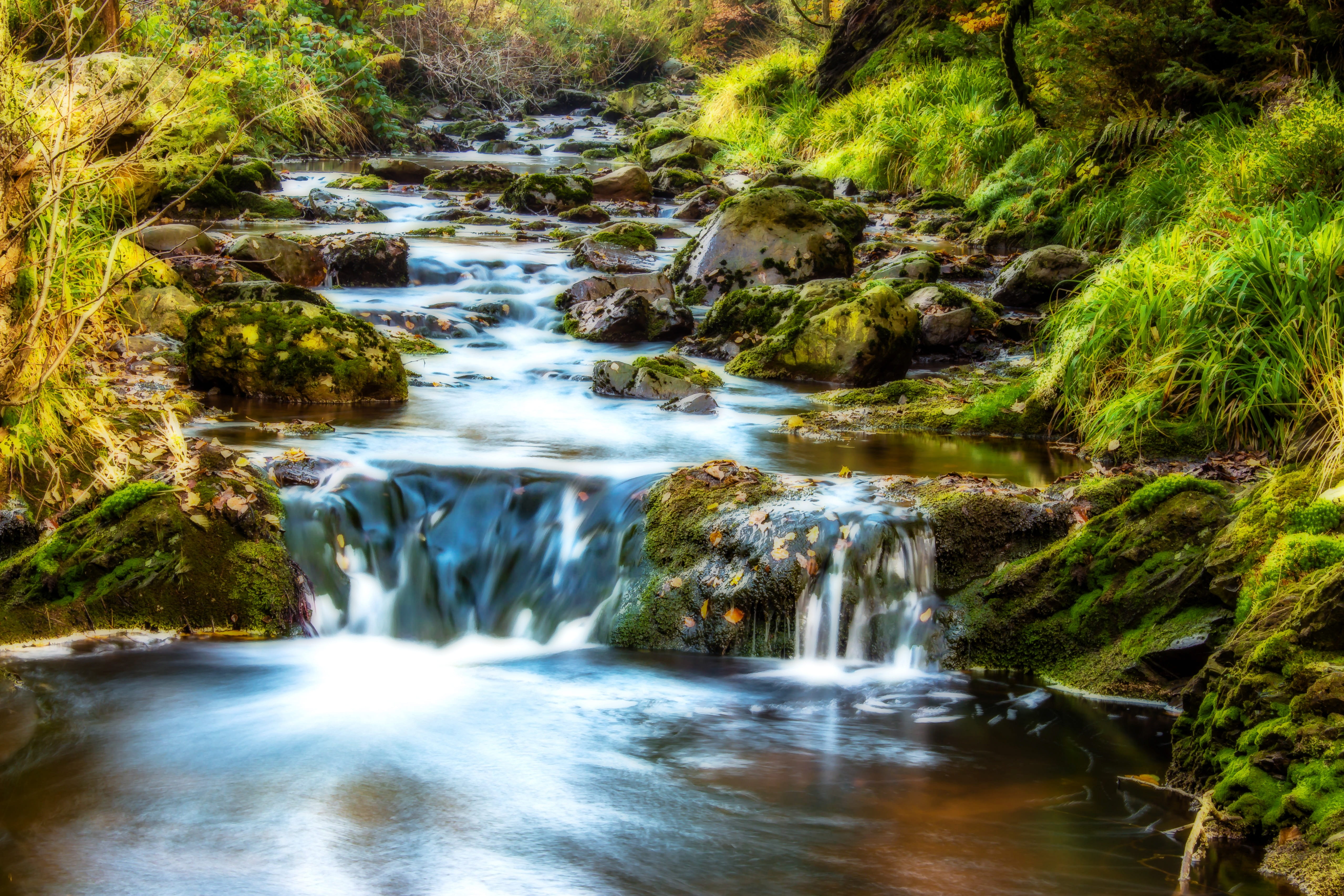 pyrite-rich water, water, 4K, running water, environment, downflow, photography, nature, plant, autumn, lapse, flow, bubble, leaves, blurred motion, motion, HD Wallpaper