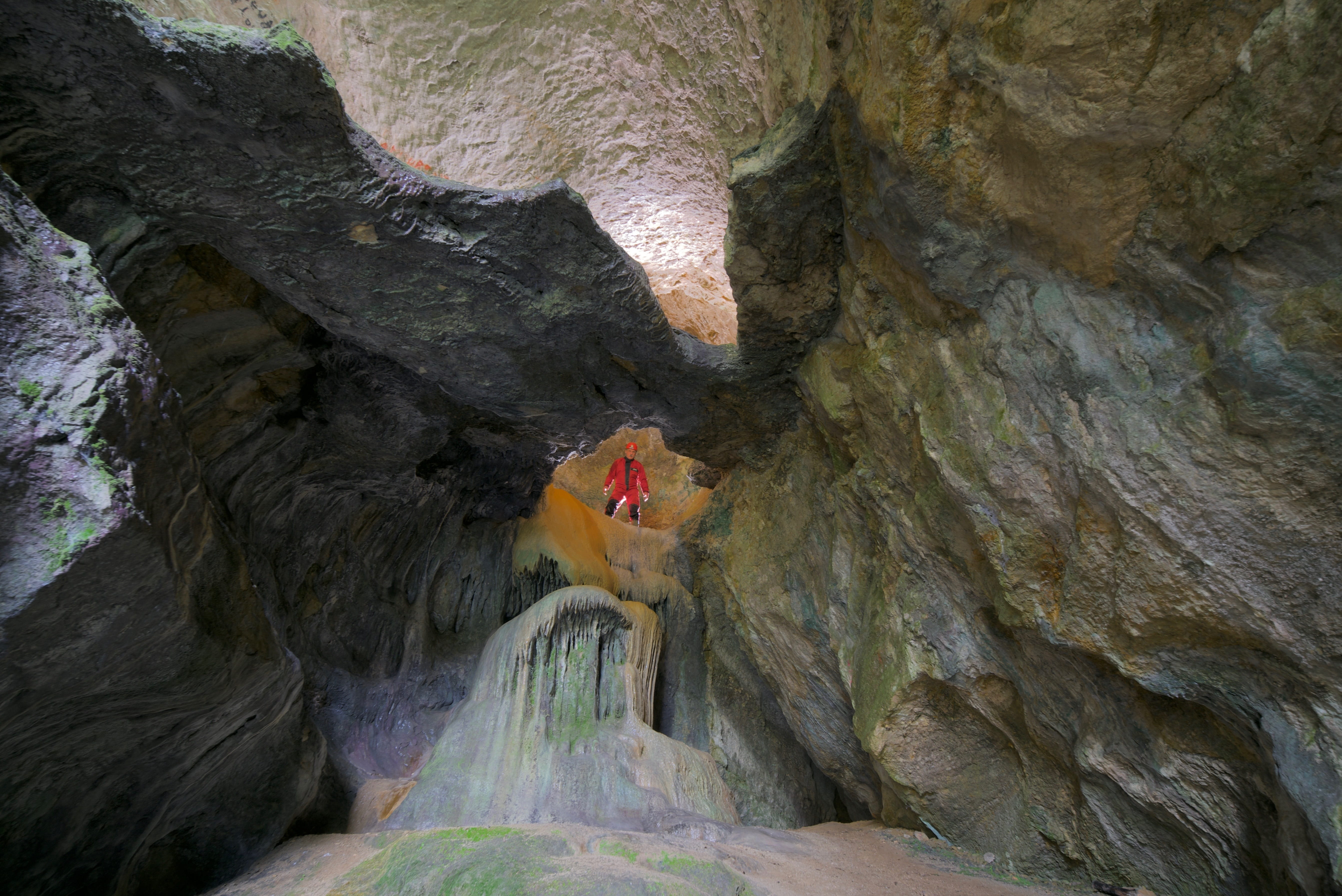 low angle view, tranquility, eroded, cave, rough, calcite, geology, 5K, nature, rock - object, karst, cavity, outdoors, day, rock, plant, textured, no people, HD Wallpaper