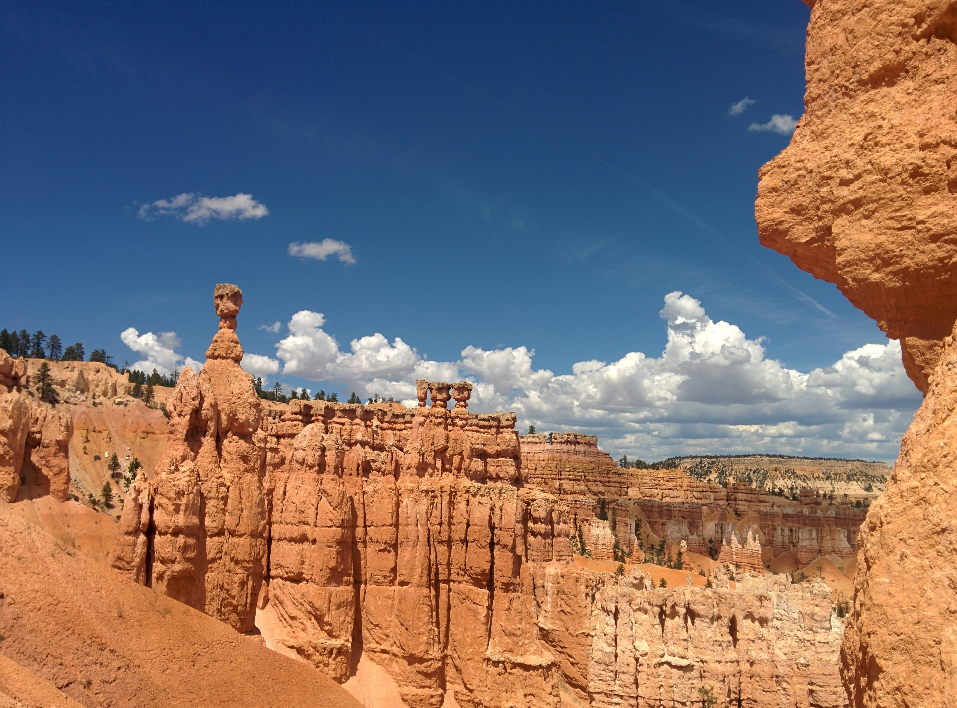 bryce canyon, orange, scenics - nature, no people, sunlight, travel destinations, park, scenics, travel, geology, landscape, terrain, rock - Object, sandstone, HD Wallpaper