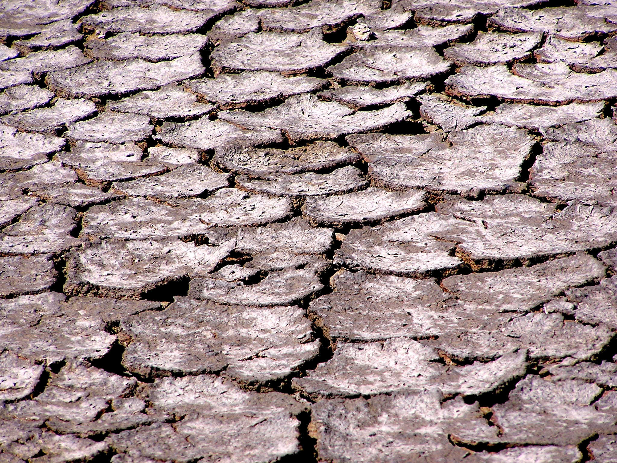 arid climate, nature, full frame, textured, 1080P, outdoors, day, no people, backgrounds, sunlight, rough, close-up, saline, the ground cracked, wall, HD Wallpaper