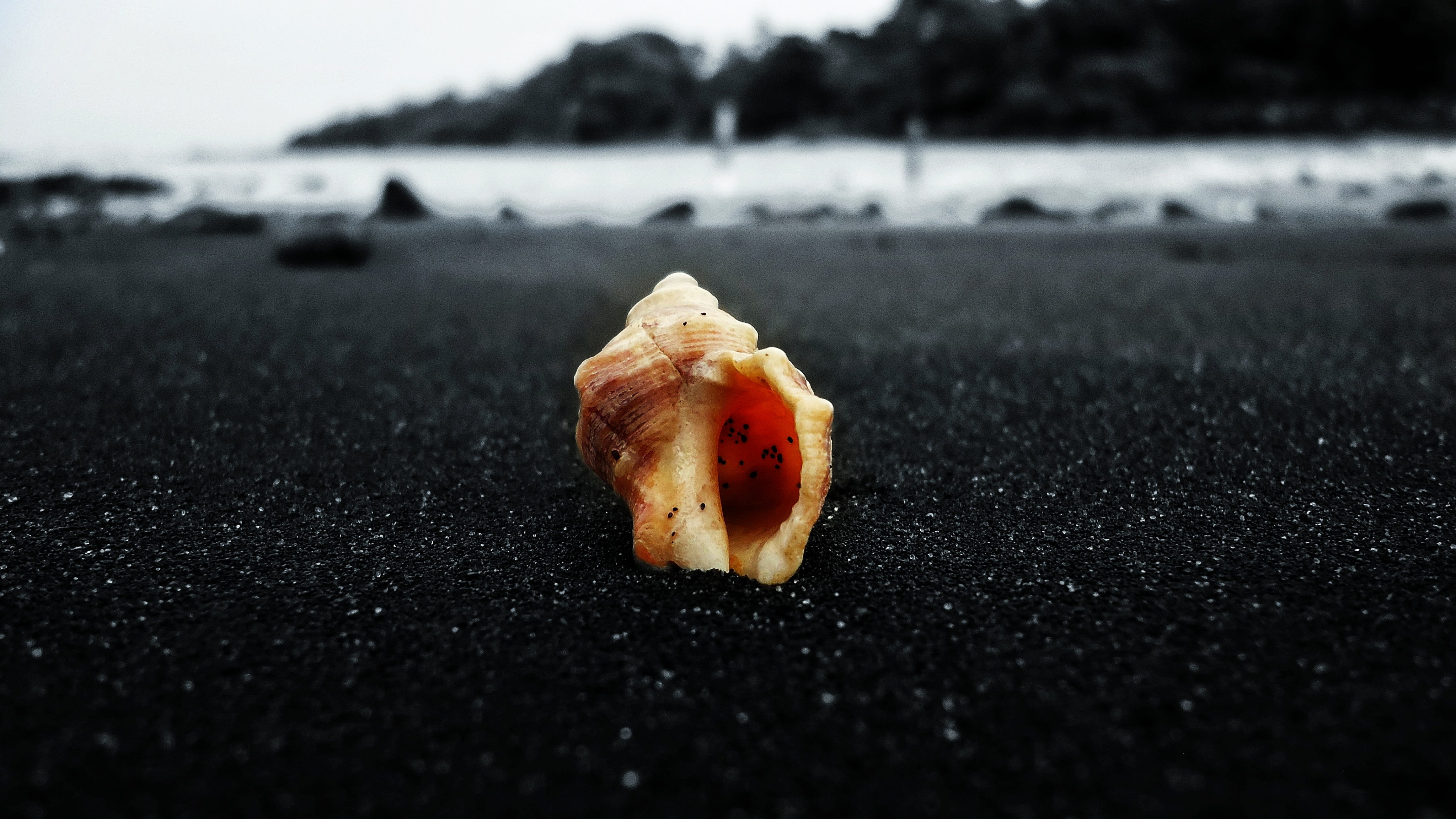 freshness, 4K, still life, water, no people, food and drink, selective, sand, volcanic, temptation, color, nature, sea, focus on foreground, gray, rock, HD Wallpaper
