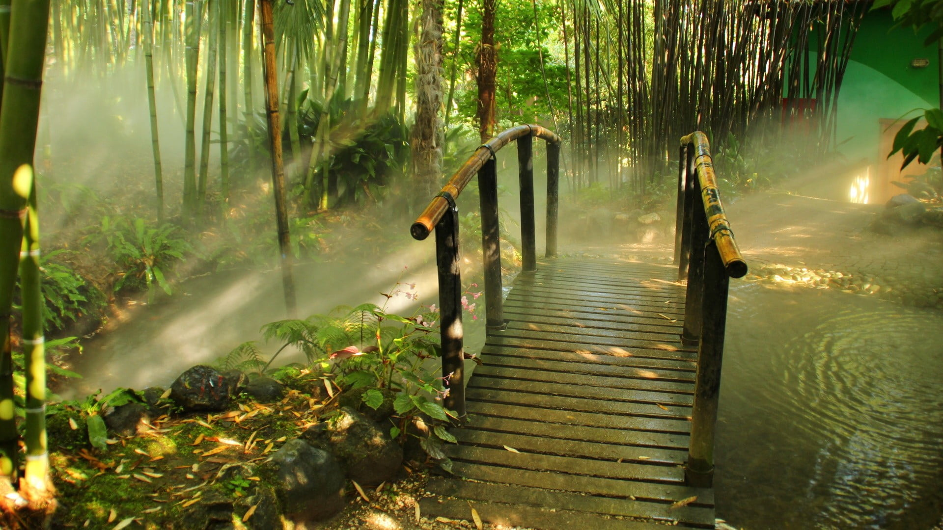 tranquility, railing, brown, framed, direction, bamboo - plant, land, beauty in nature, footpath, chair, green color, tree, growth, water, lake, 1080P, HD Wallpaper
