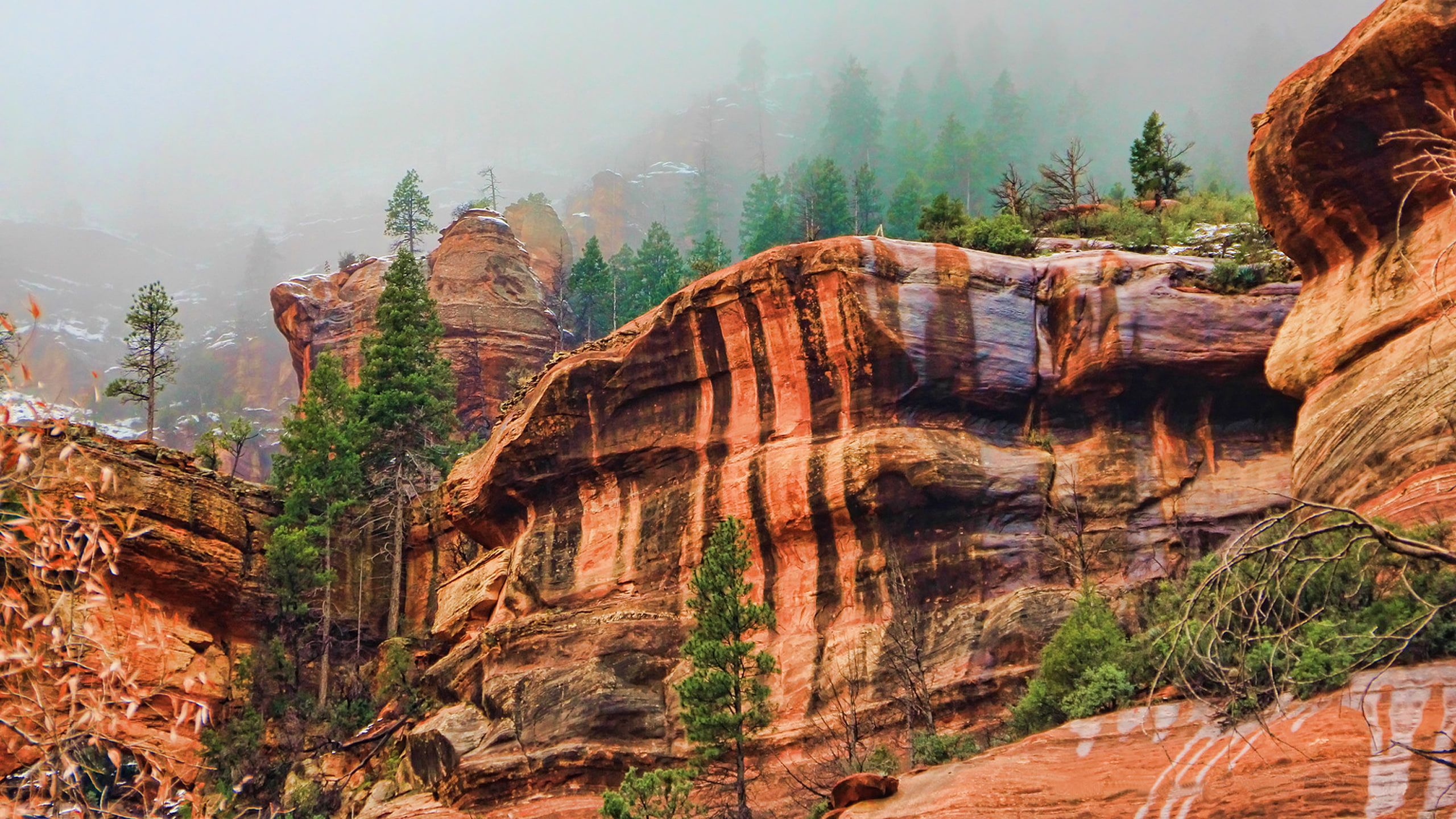 arizona, canyon, scenic, 2K, beauty, oak, photo, creek, hd, northern, HD Wallpaper