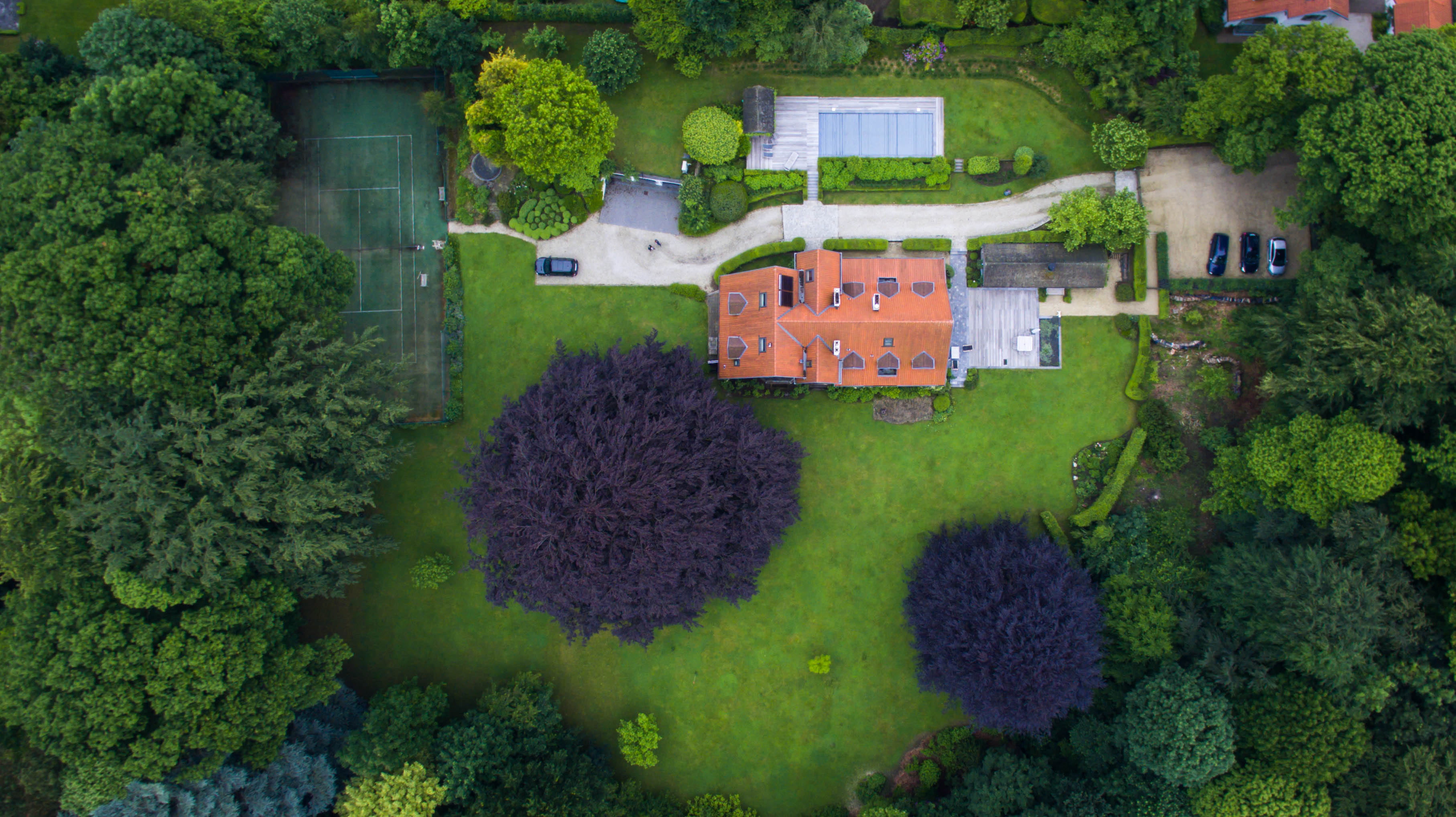 window, hedge, recreation, tree, swimming pool, day, house, high angle view, trees, residential district, no people, foliage, grass, colors, top view, birds eye view, HD Wallpaper
