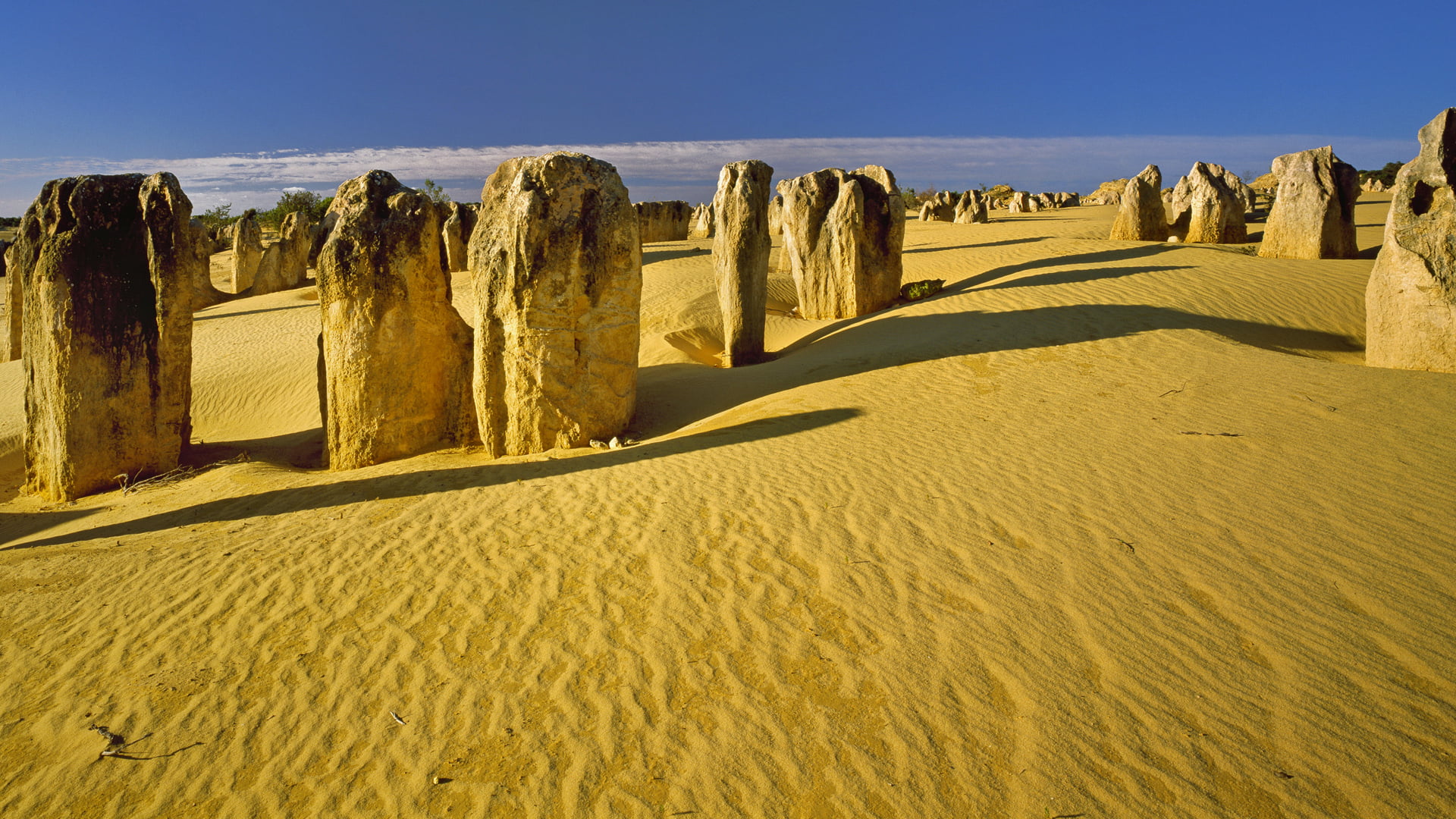 landscape, The Pinnacles, sand, 1080P, nature, desert, trees, rocks, sky, Australia, Sand Ripples, clouds, HD Wallpaper