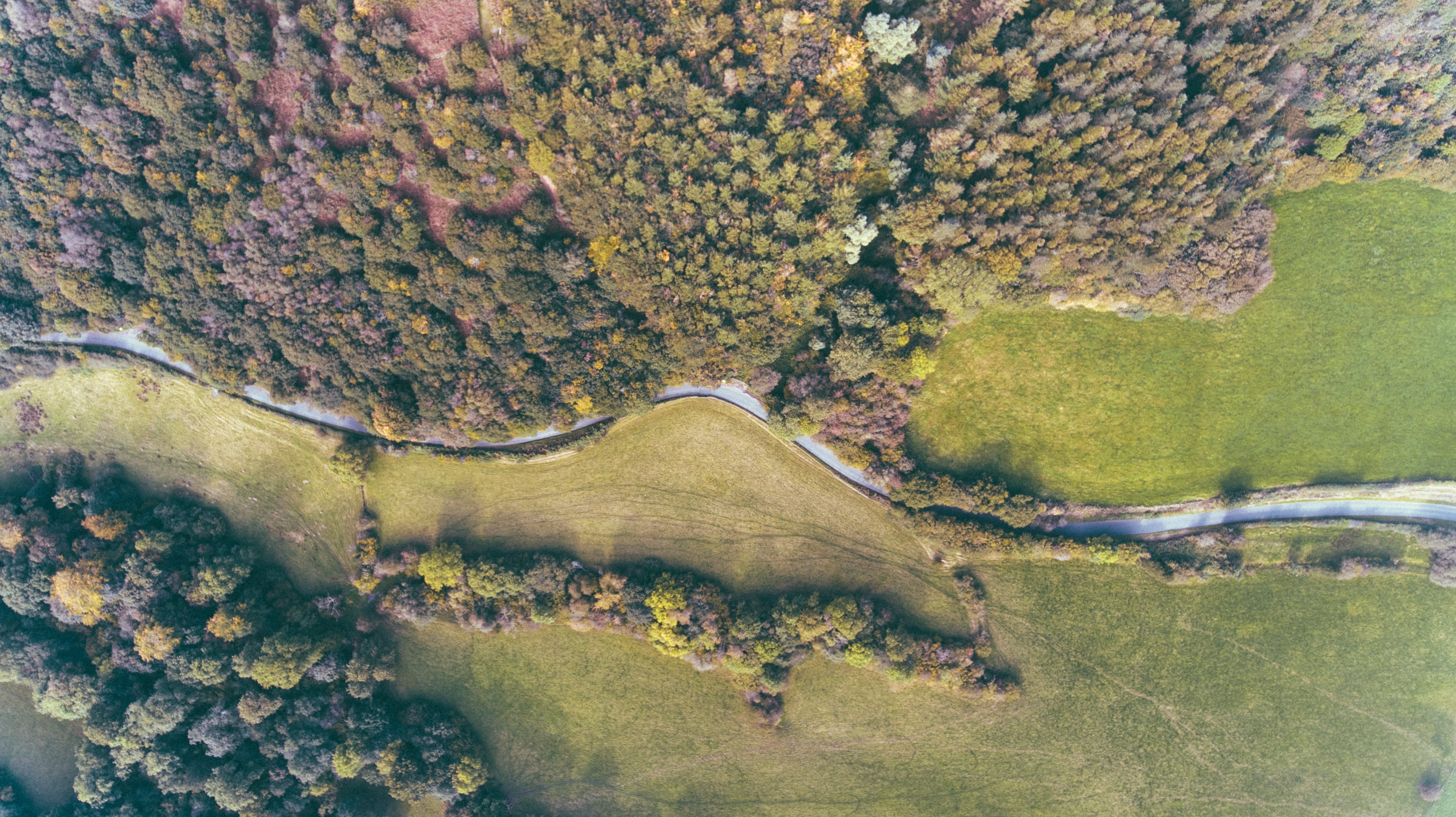4K, nature, trees, land, outdoors, idyllic, non-urban scene, grass, growth, beauty in nature, environment, river, no people, high angle view, algae, aerial view, HD Wallpaper