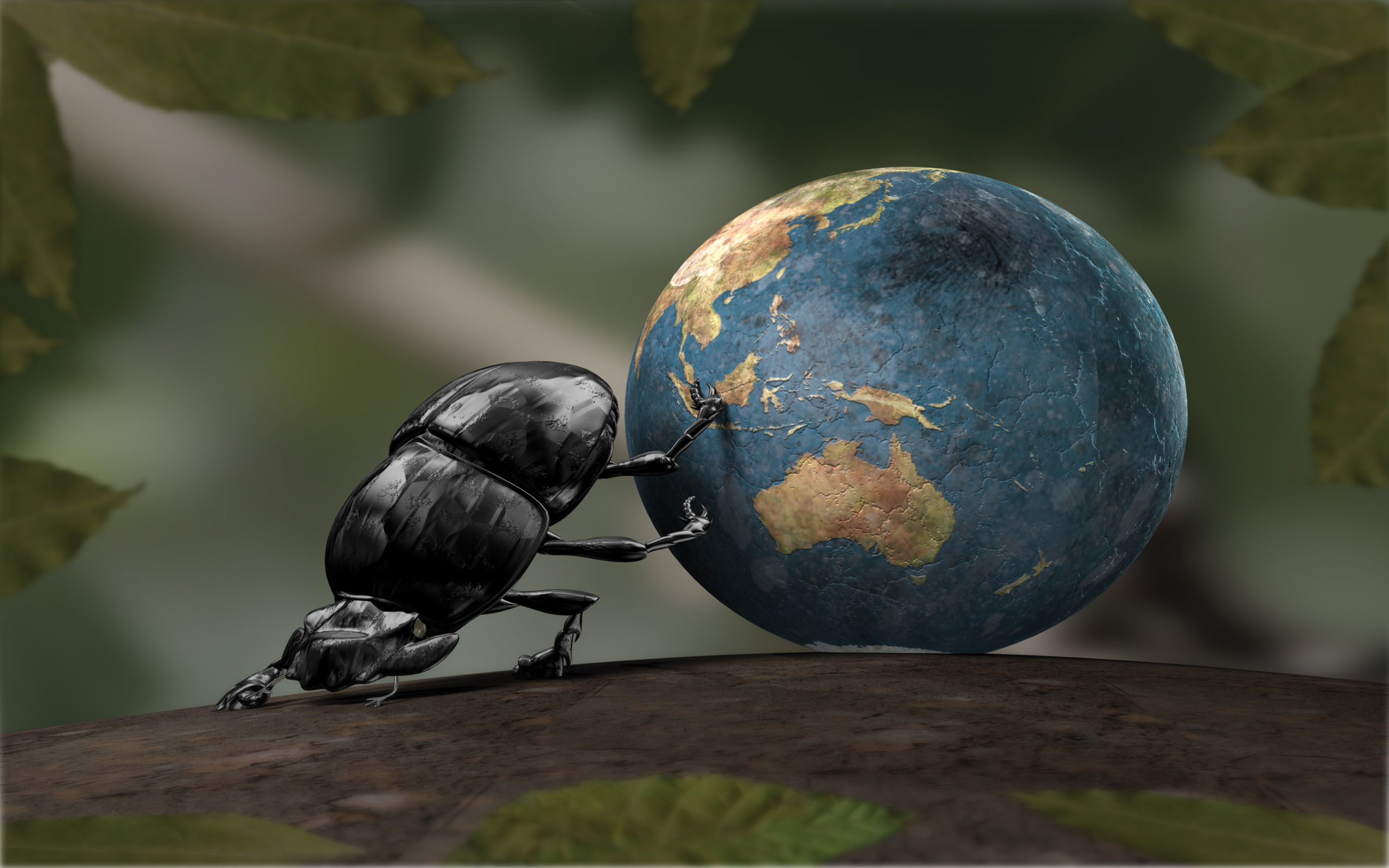 Ball, Leaves, vertebrate, earth, fruit, zoology, beetle, miniature, dung, globe, outdoors, animal, selective focus, food, one animal, bird, animals in the wild, HD Wallpaper
